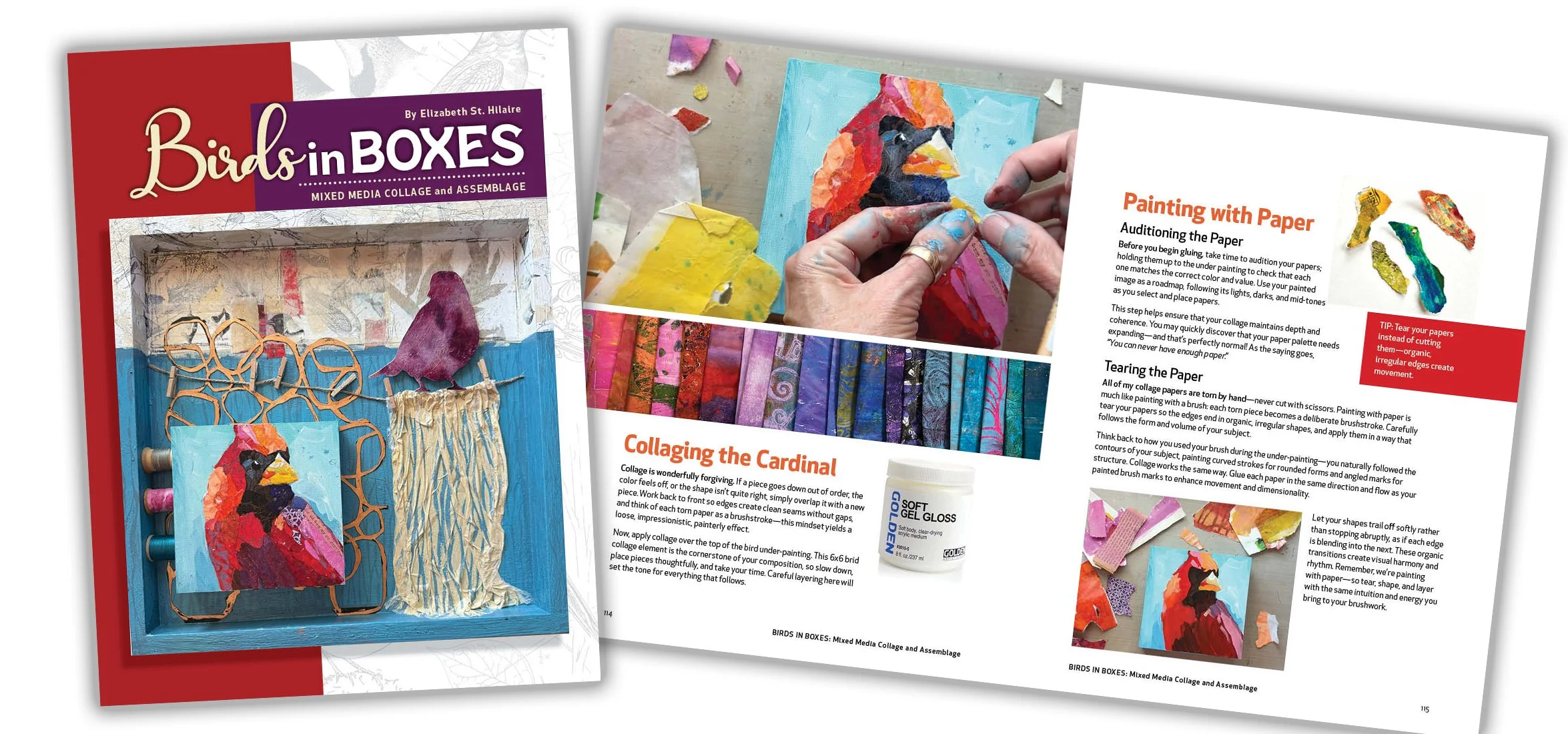 Birds in Boxes 2026 Spread.jpg