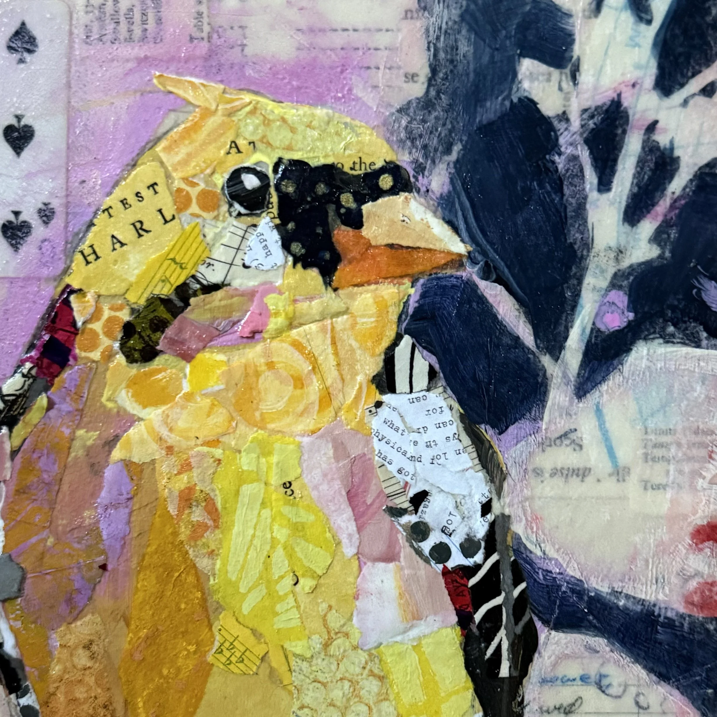 Yellow Cardinal2.jpg