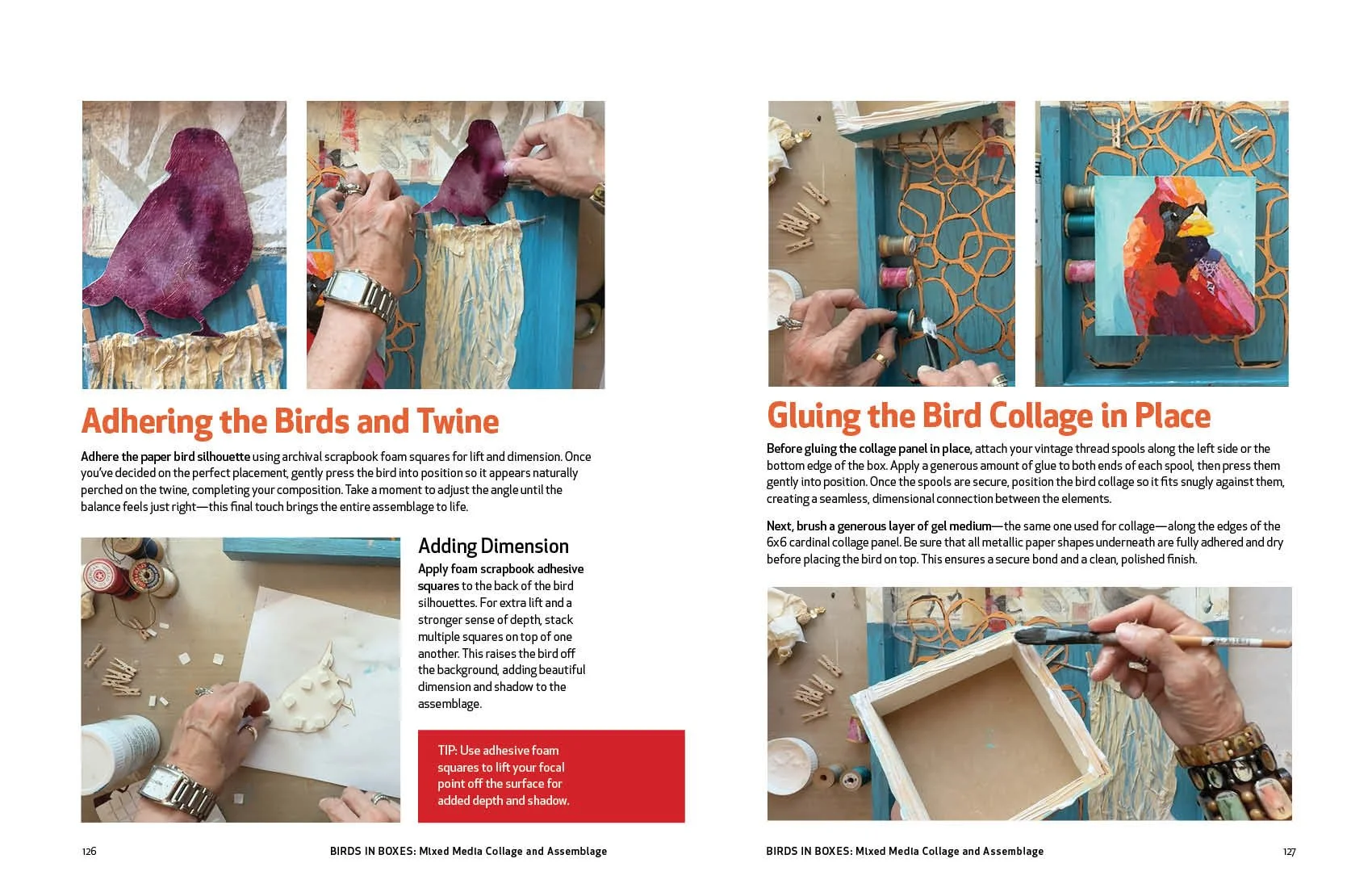 Birds in Boxes 2026 126-127.jpg