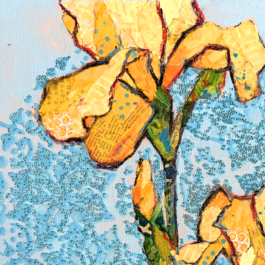 Yellow Iris2.png
