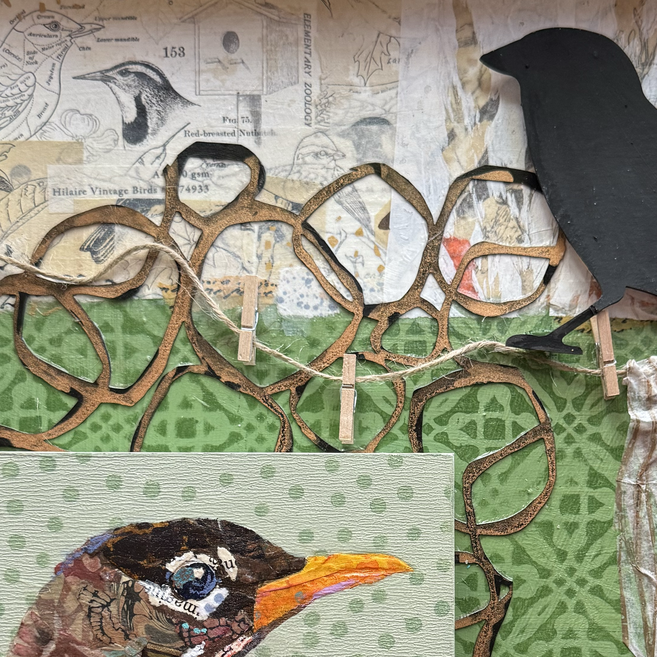 Robin Assemblage34.png