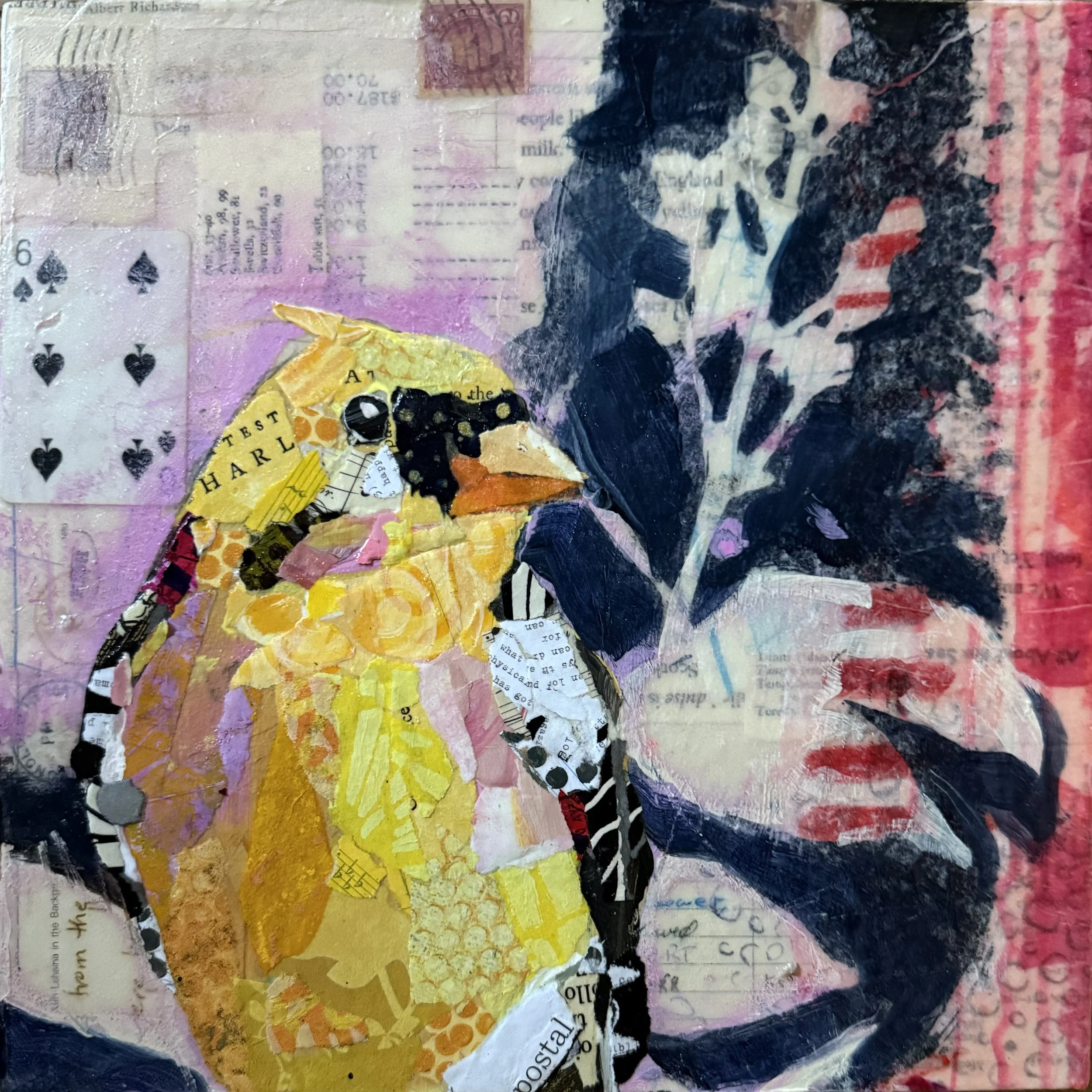 Yellow Cardinal / 12x12