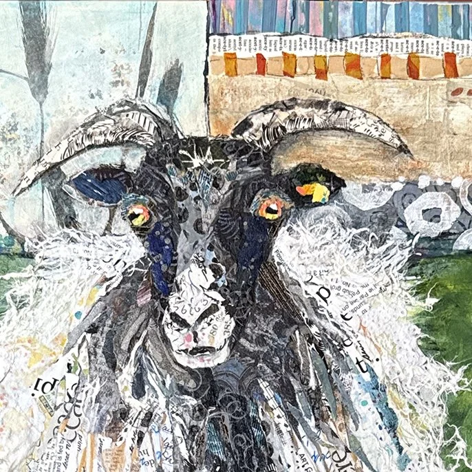 Irish Sheep2.jpg