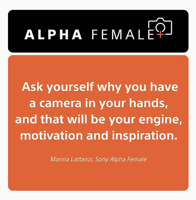 Captura de Pantalla 2022-03-29 a la(s) 10.21.55.png