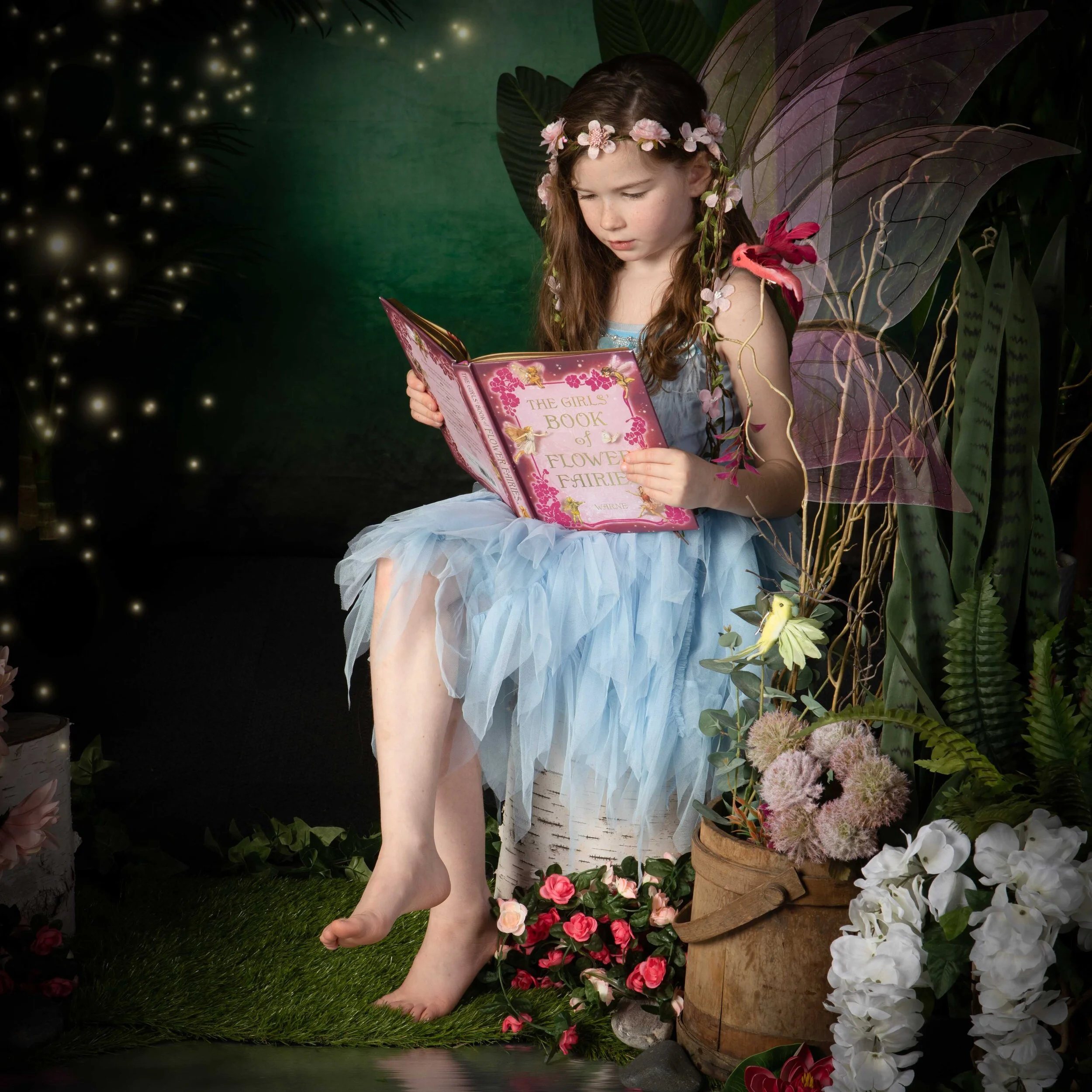 fairy with hummingbird