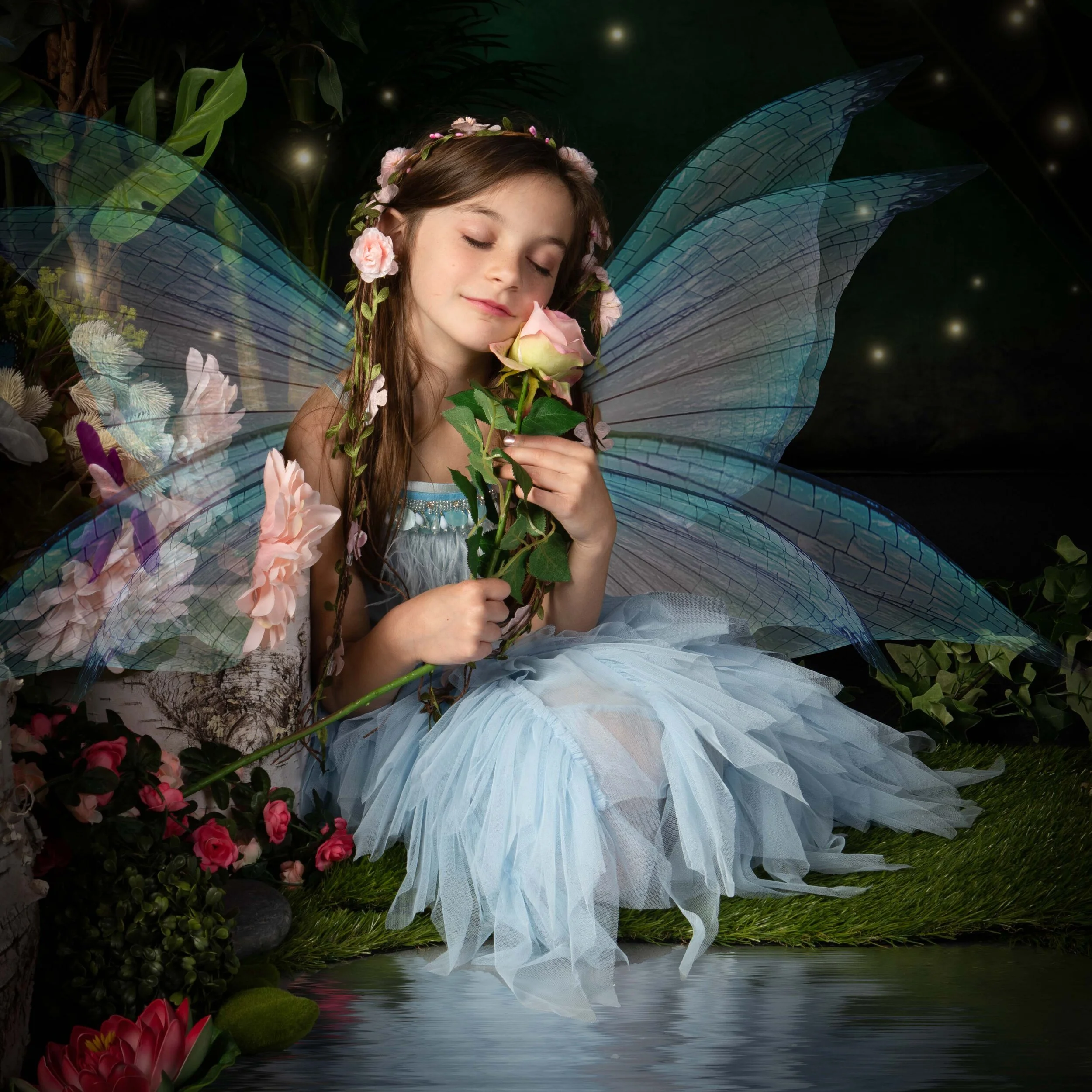 beatiful fairyland