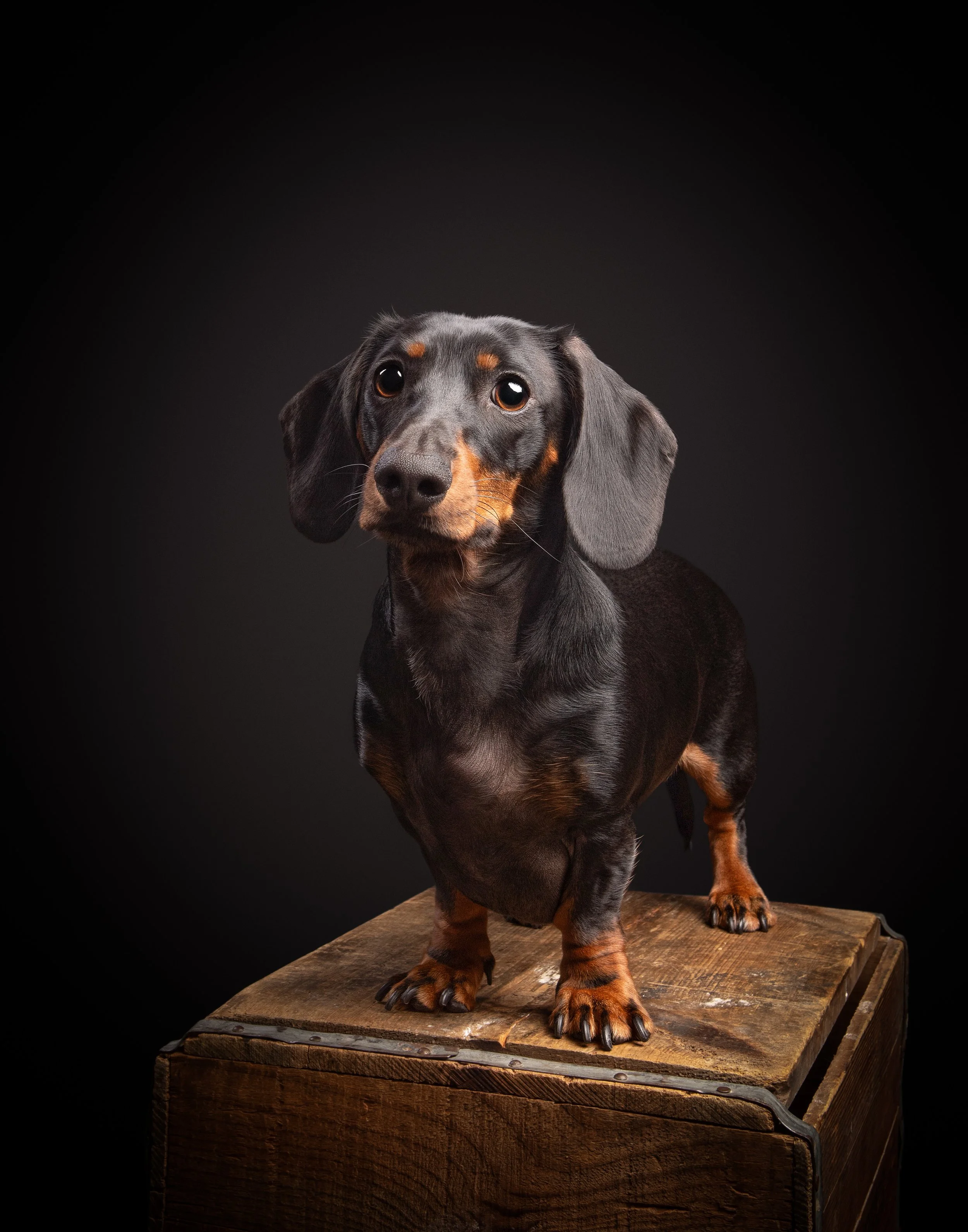 2410_Laflam_152 11x14.jpg