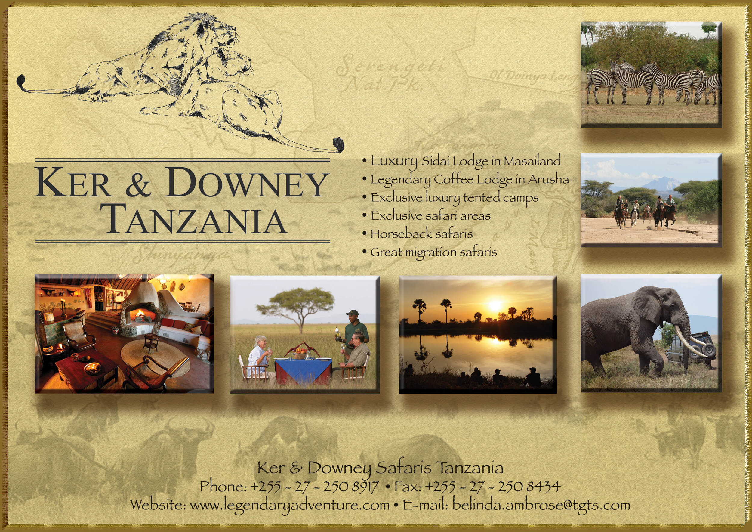 ad - safari company