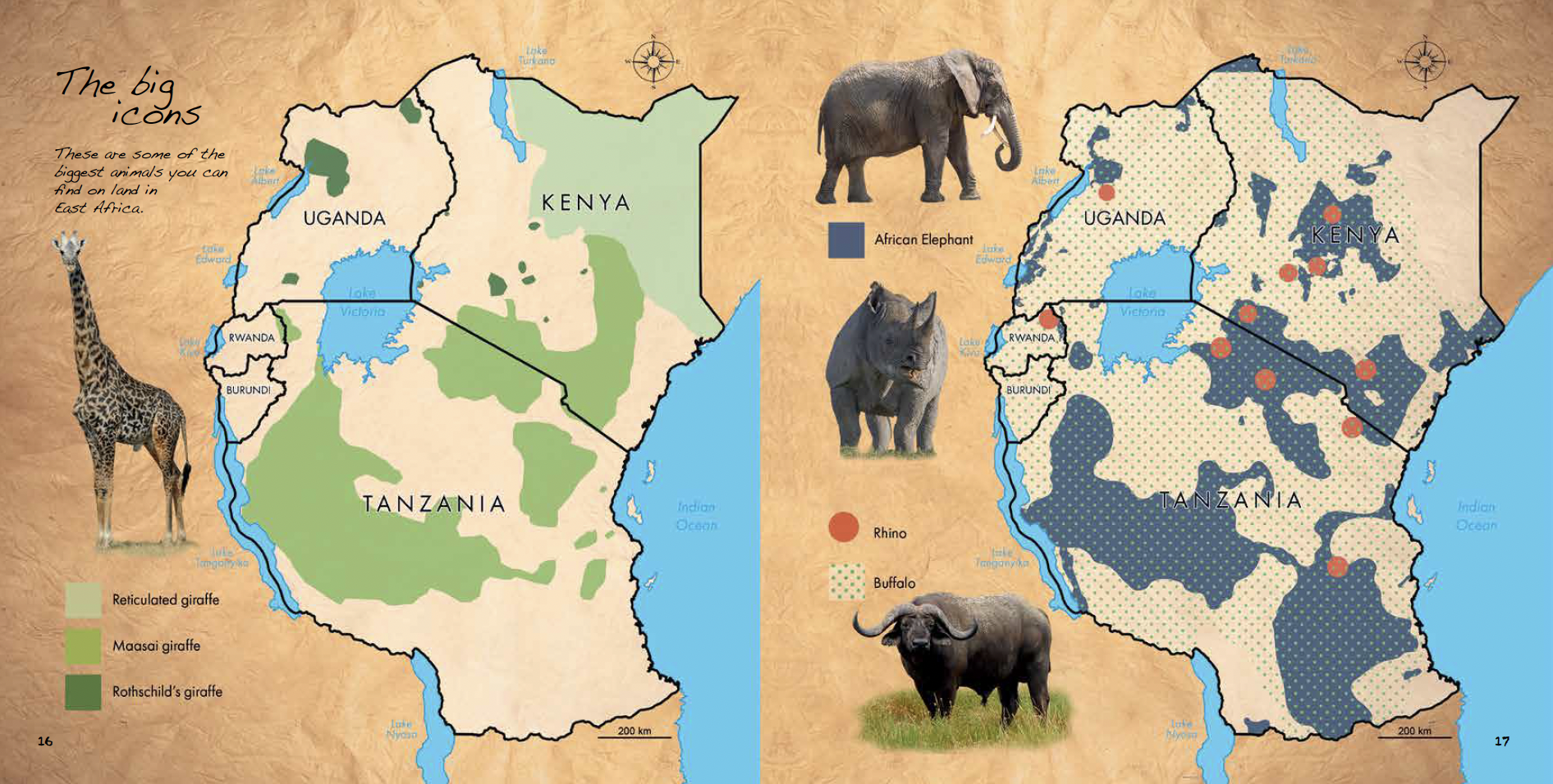 Safari Guide animal distribution map