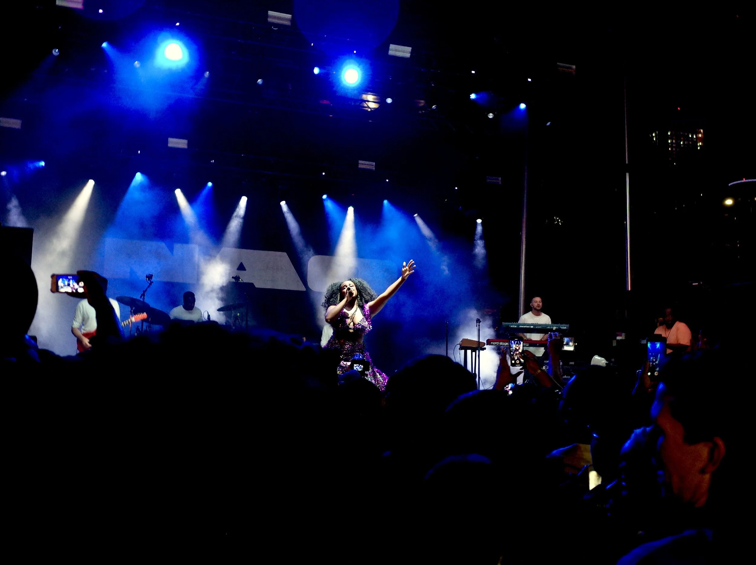 Nao at Afropunk Brooklyn.jpeg