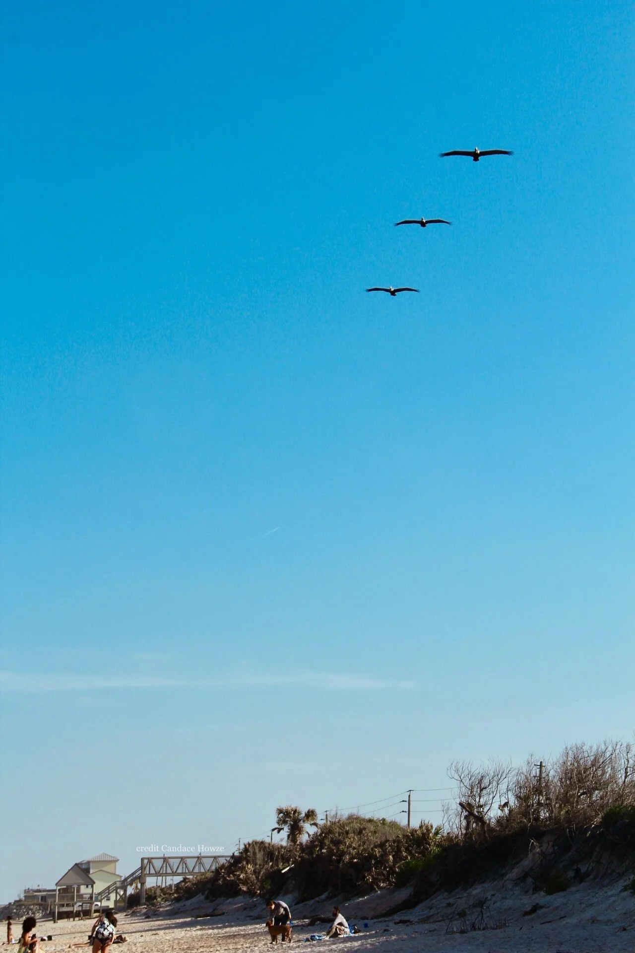 St Augustine Beach.jpeg
