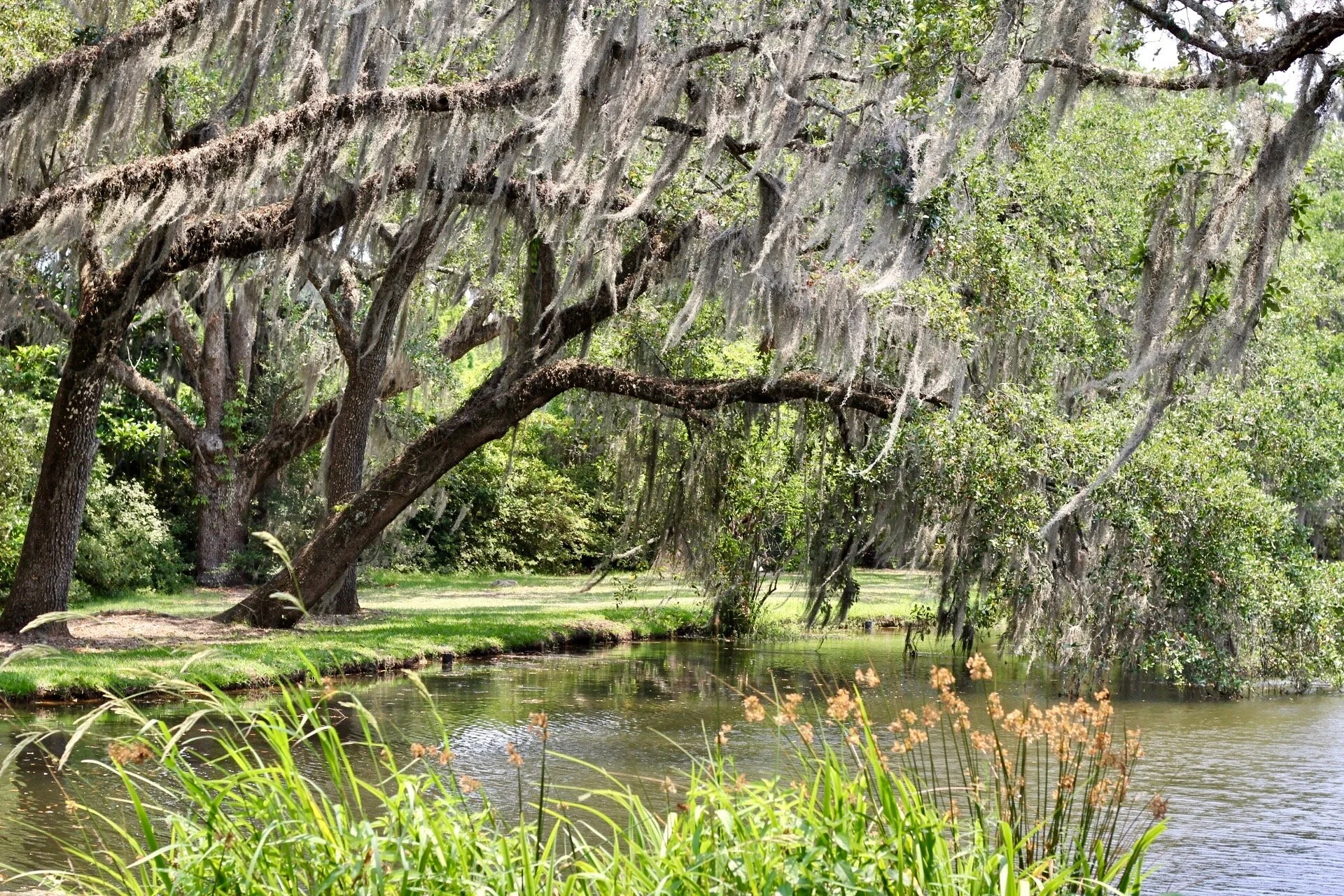 What Have You Seen.jpeg