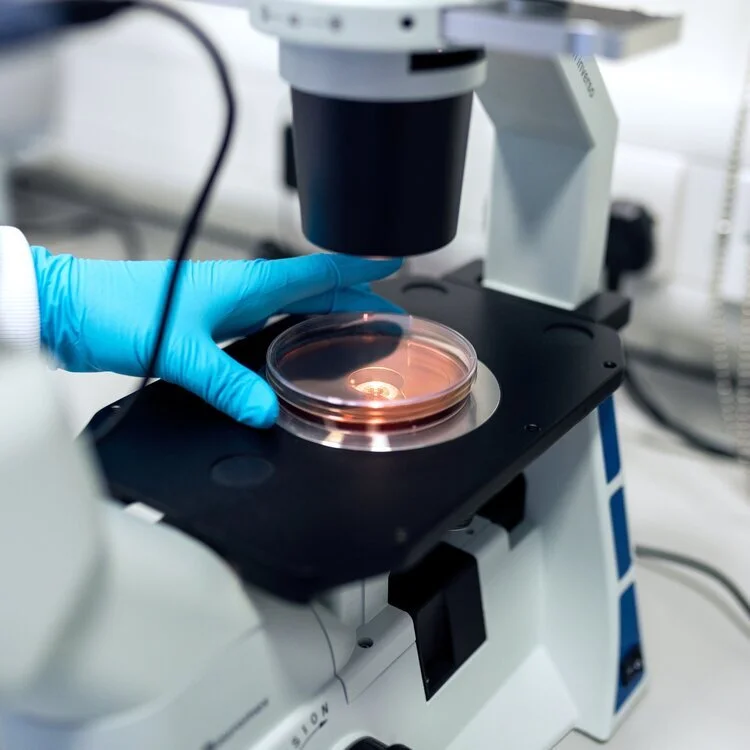 How Can Sickle Cell Disease Education Improve Health Outcomes?