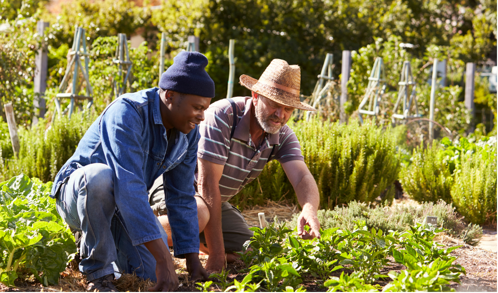 Food Outcry: Dismantling Food Inaccessibility in BIPOC Communities