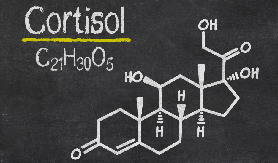 cortisol chemical formula.png