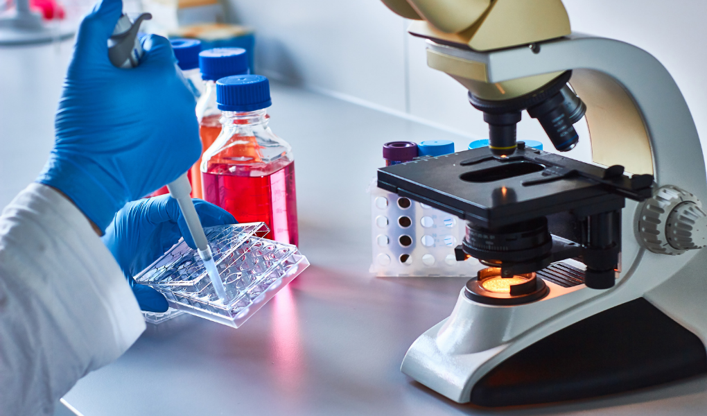 Late-Stage Diagnosis of Unscreened Cancer: A Health Disparity