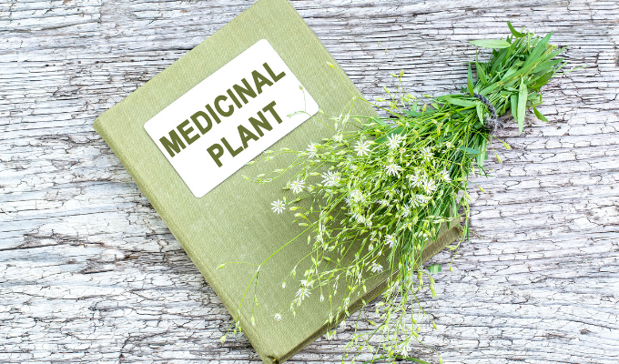 Are There Studies on Natural Remedies and Sickle Cell Disease?</a>