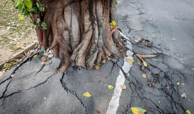 The Root Causes of Health Inequity