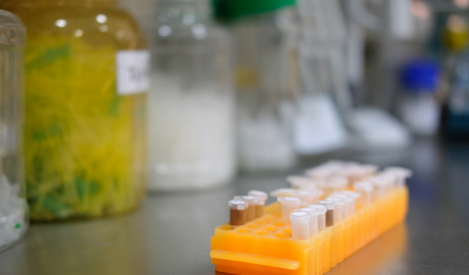 Noted Disparities Seen in Genetic Testing