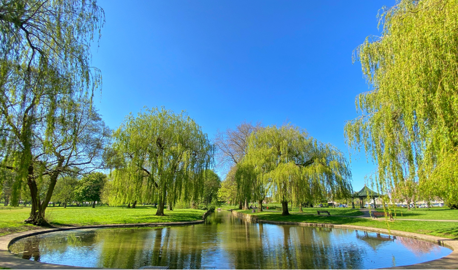 What Are Social Determinants of Health?