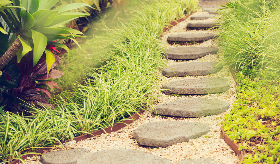 Is Whole Patient Care a Path to Health Equity?