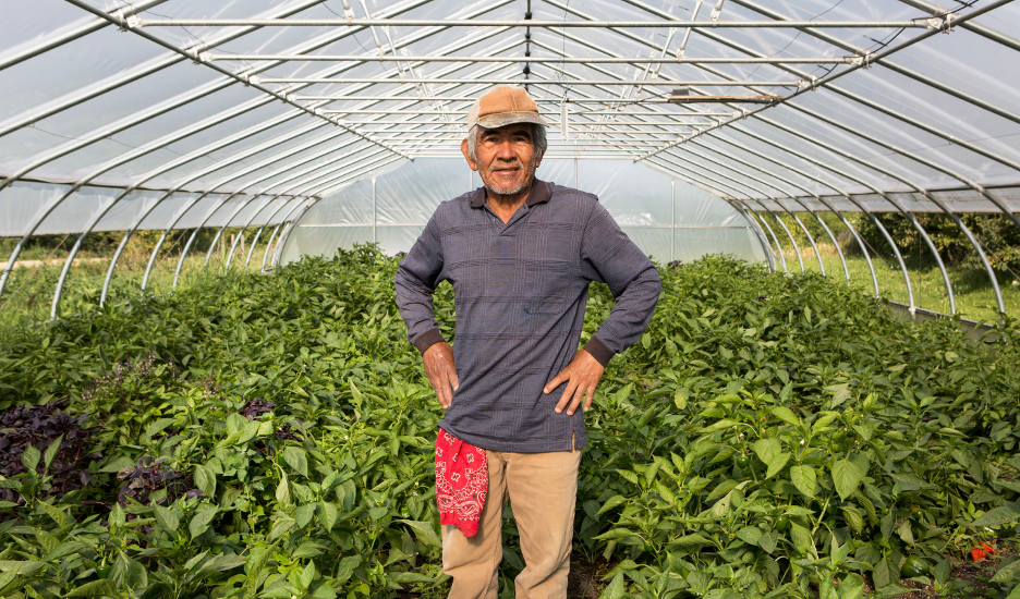 addressing virtual care disparities