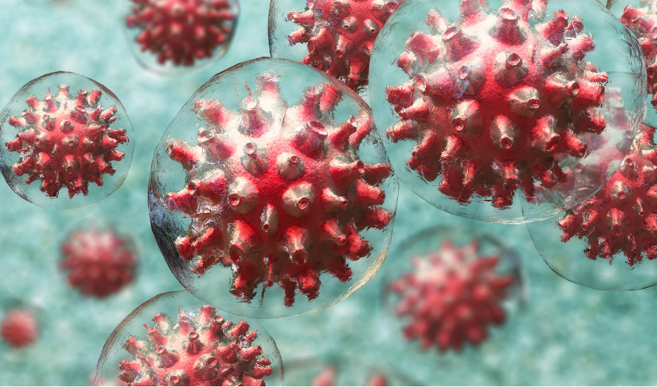 COVID-19 Infection Risk and Omicron in Children