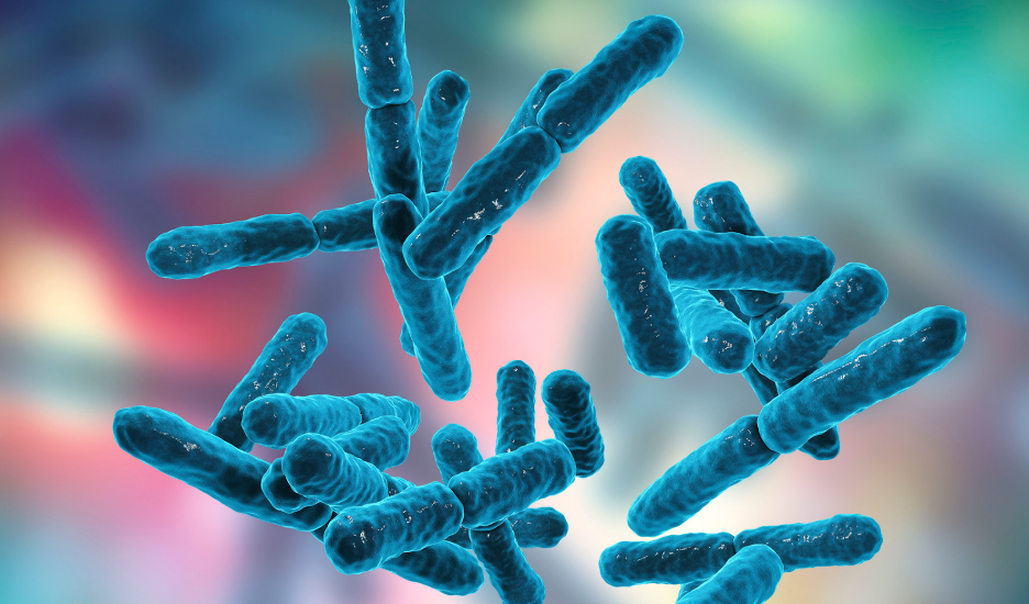 Diet and Intestinal Bacterial Factors of Black Americans