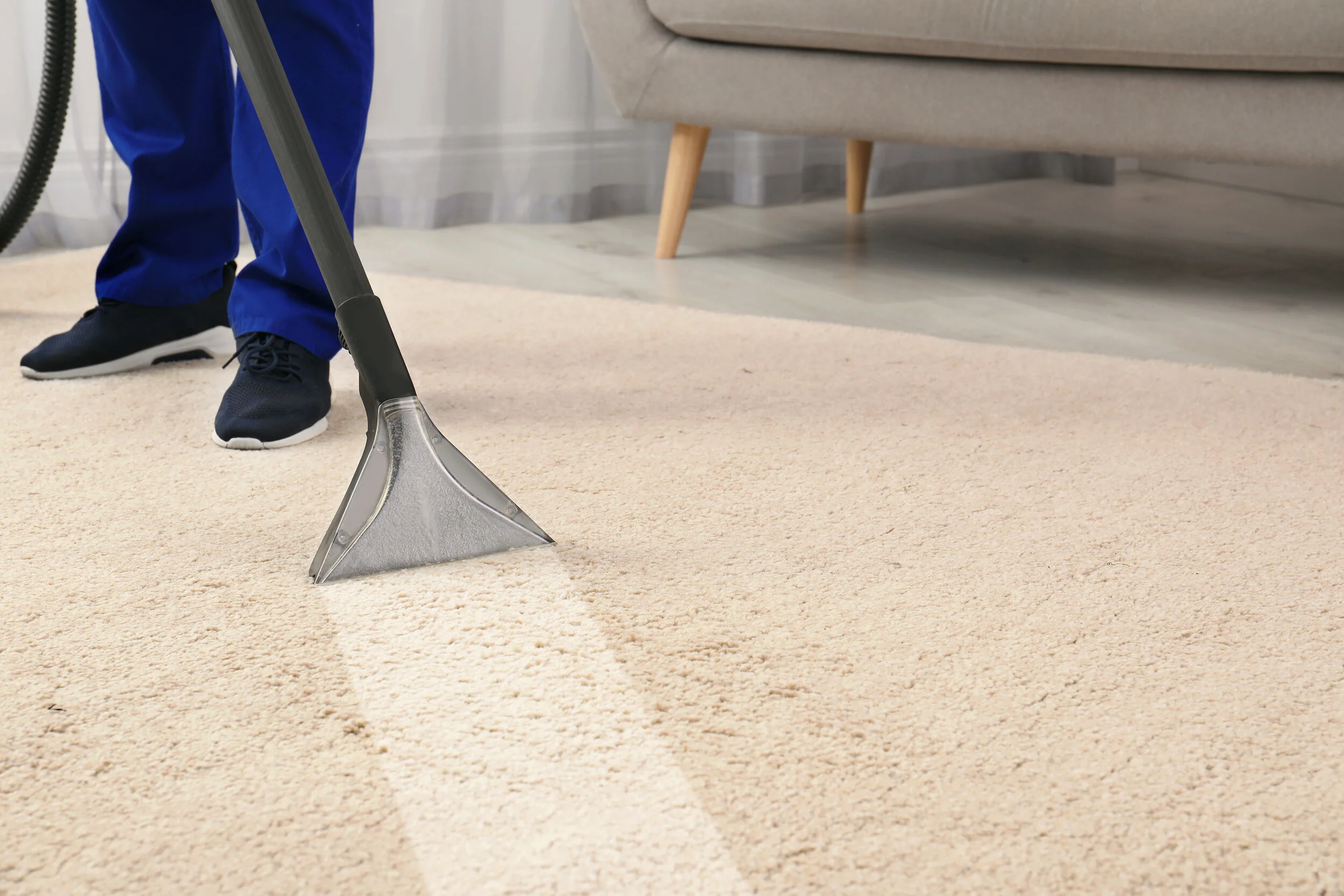 Testimonials — Carpet Cleaning