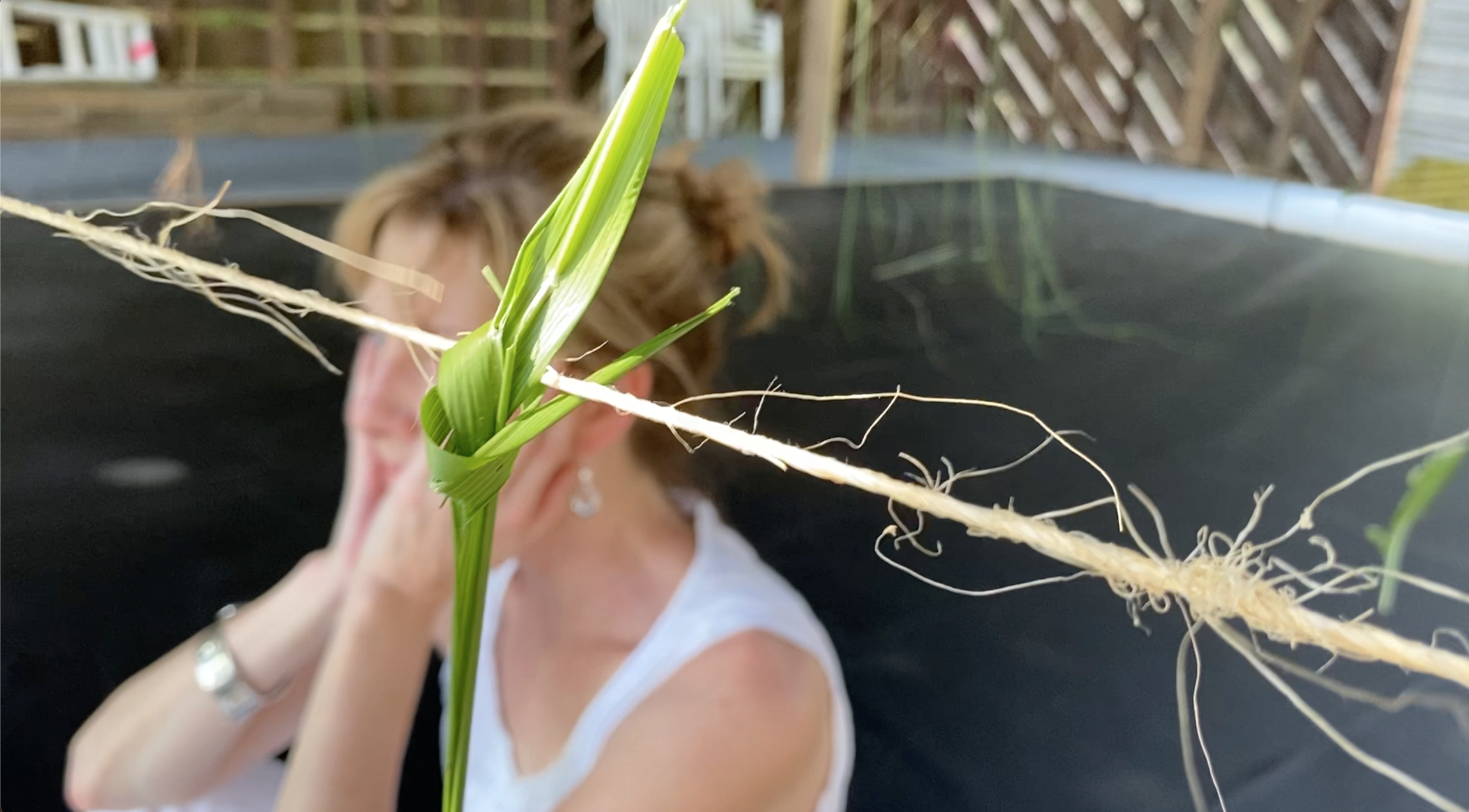 Contemplating care for the earth