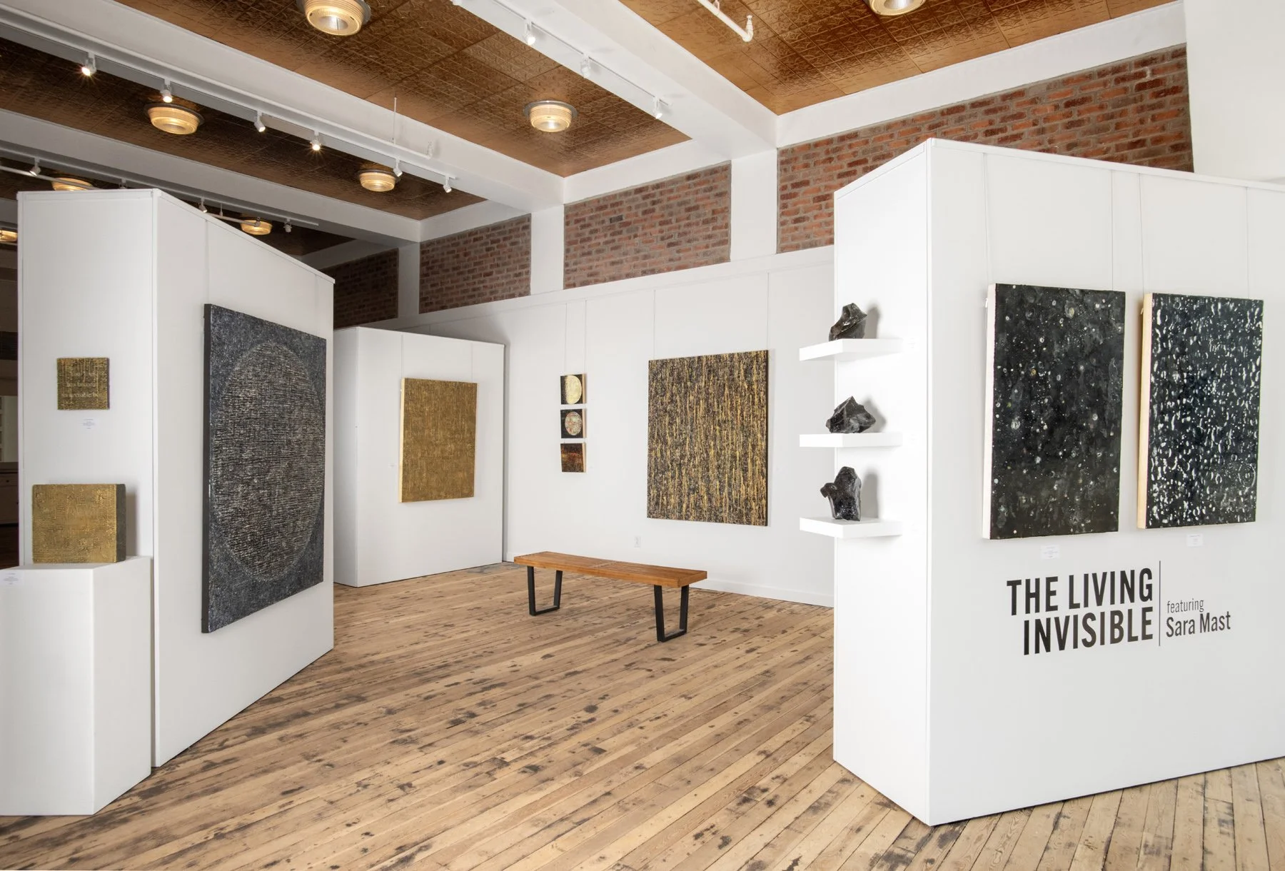 THE LIVING INVISIBLE