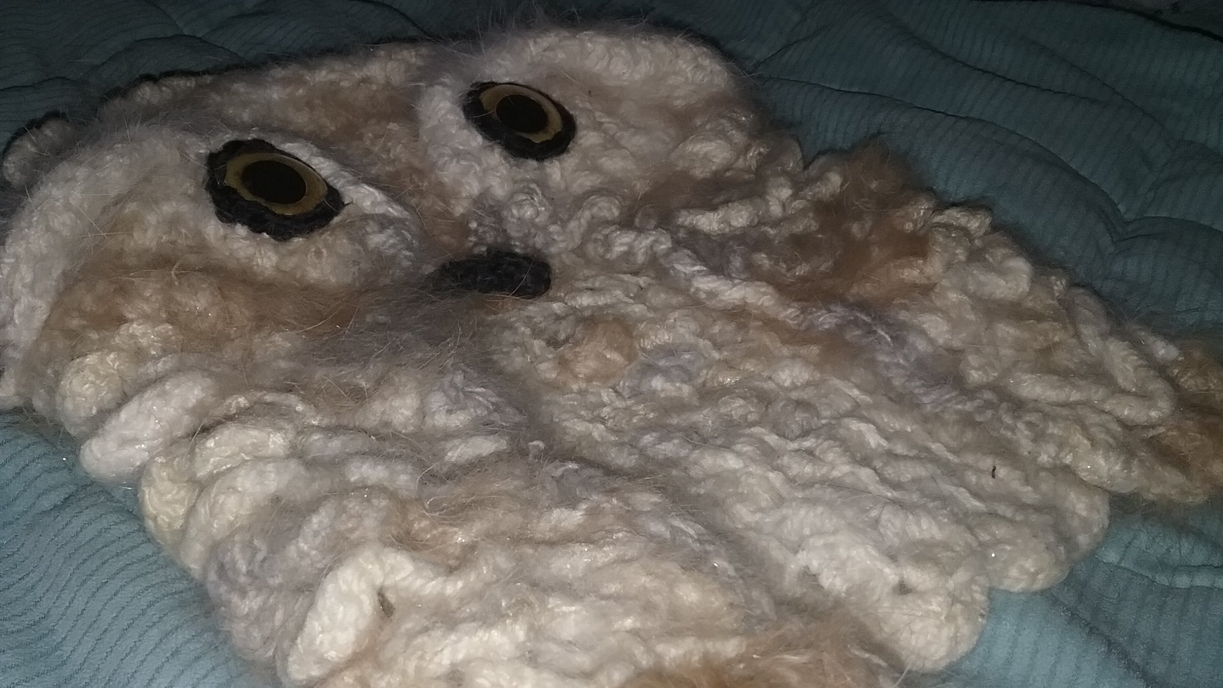 20171016_182252.jpg