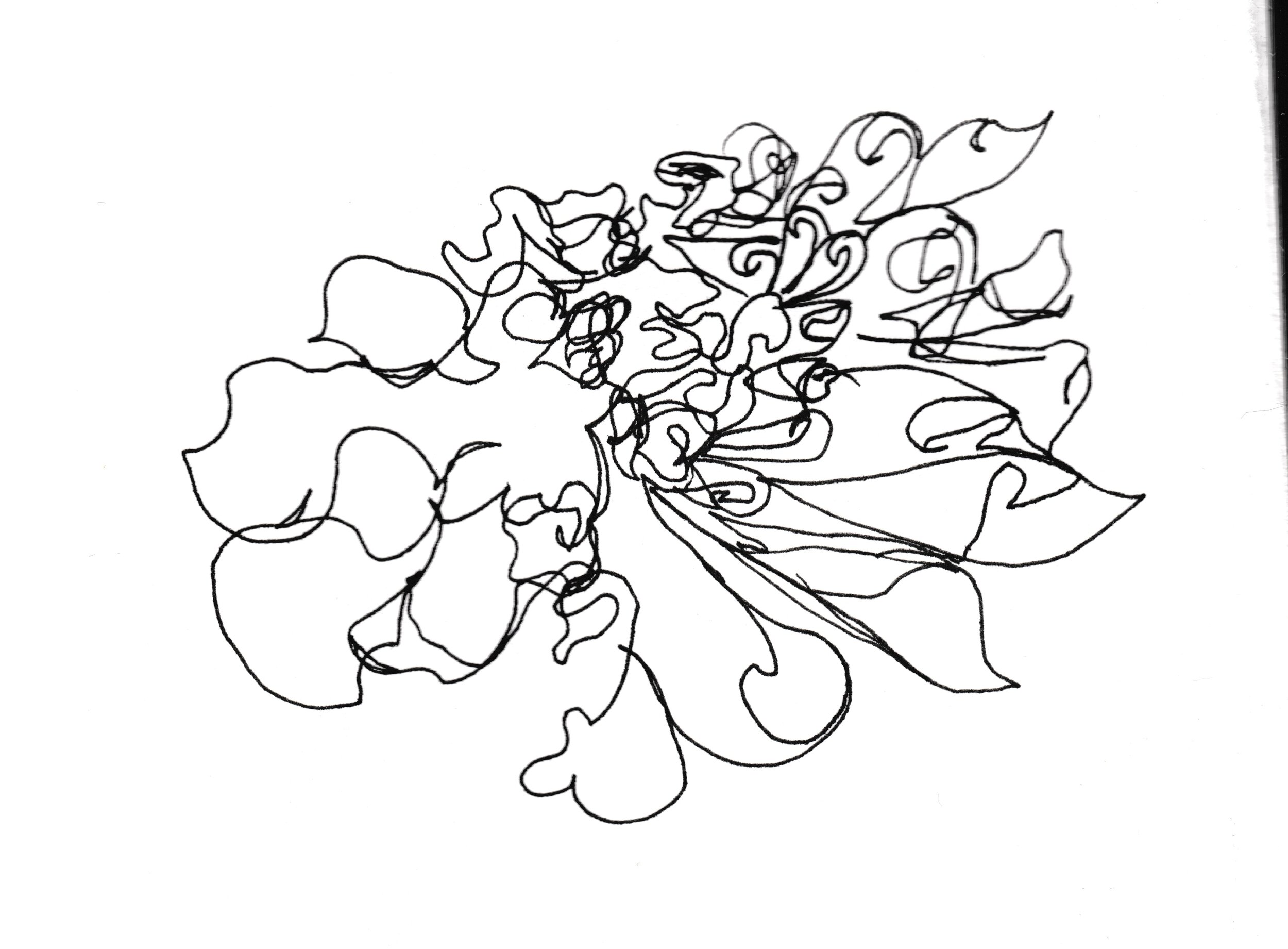 Illustrations for packaging pattern_experiments