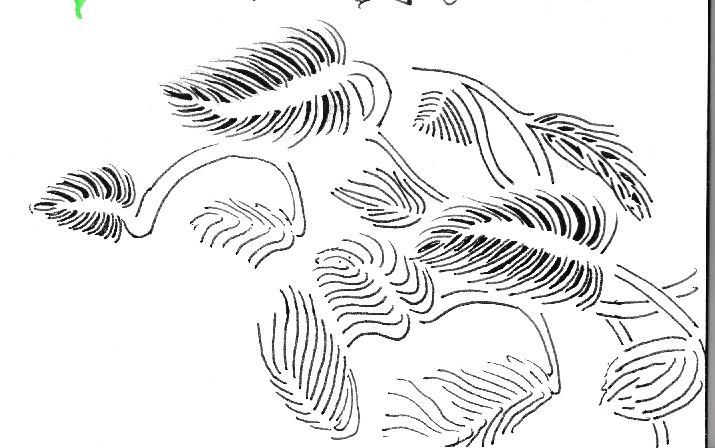 Illustrations for packaging pattern_experiments