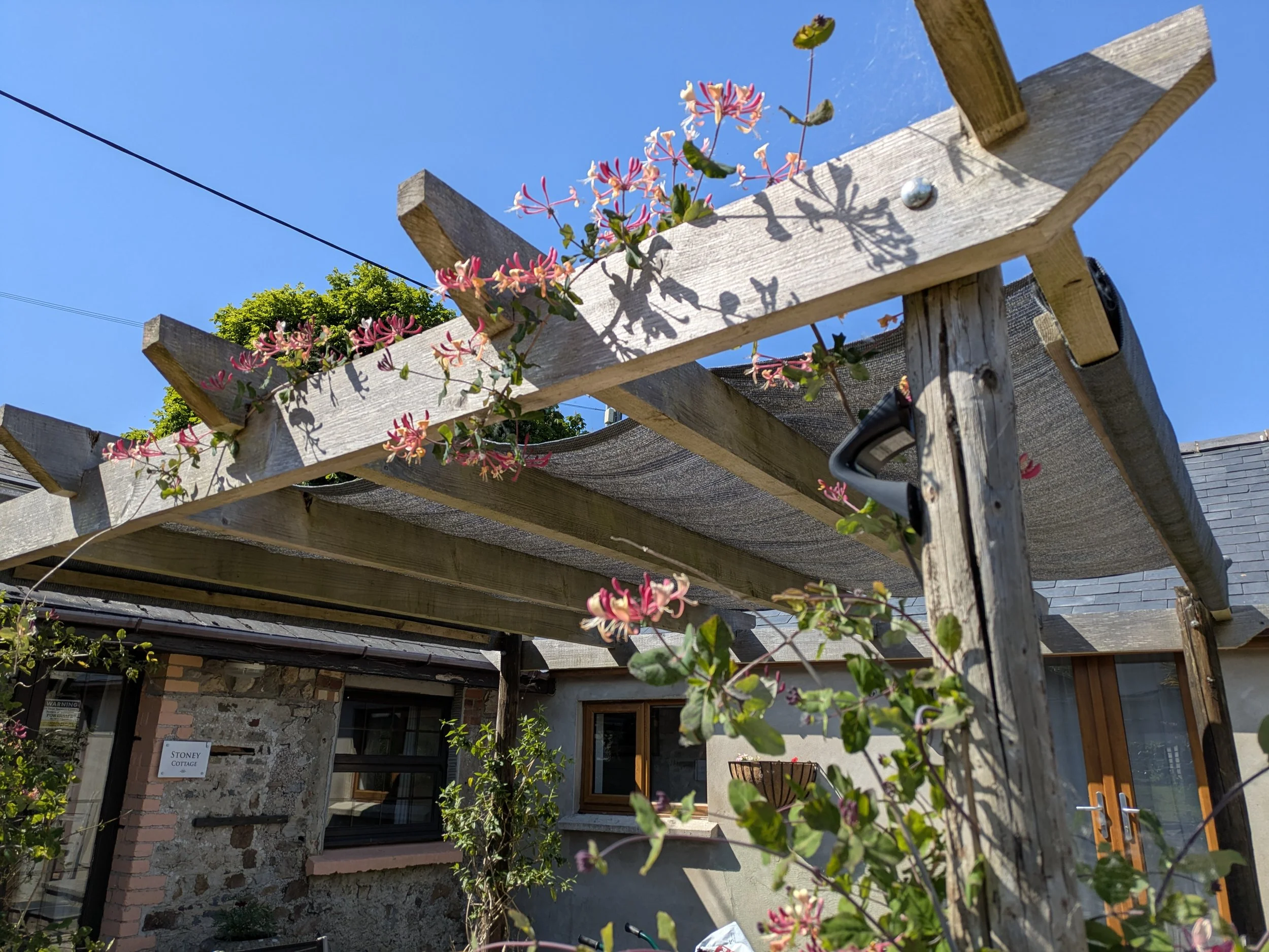 PXL_20250510_142957552.MP (1).jpg