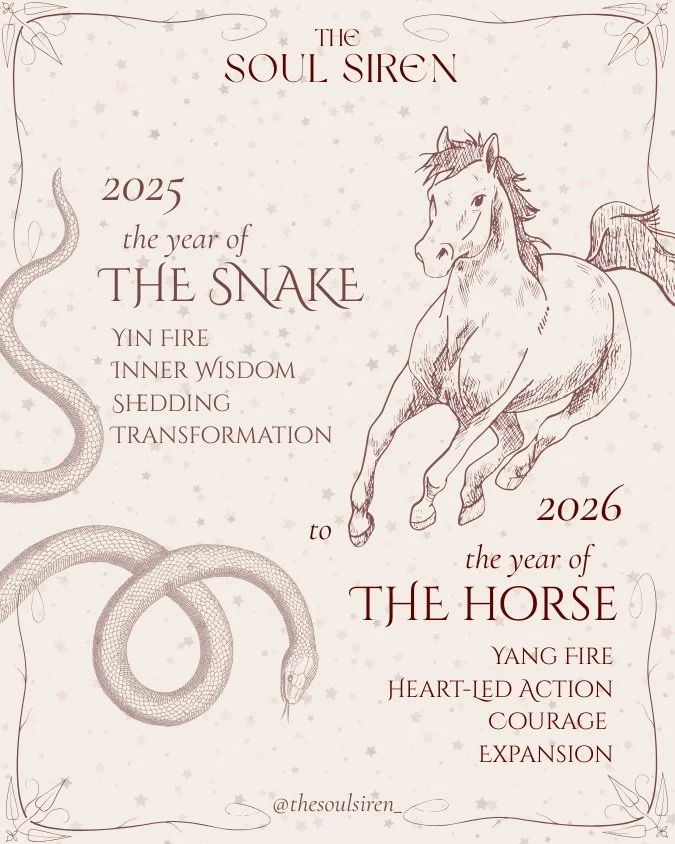 The Year of the Snake Ends: Clearing the Way for the Year of the Horse