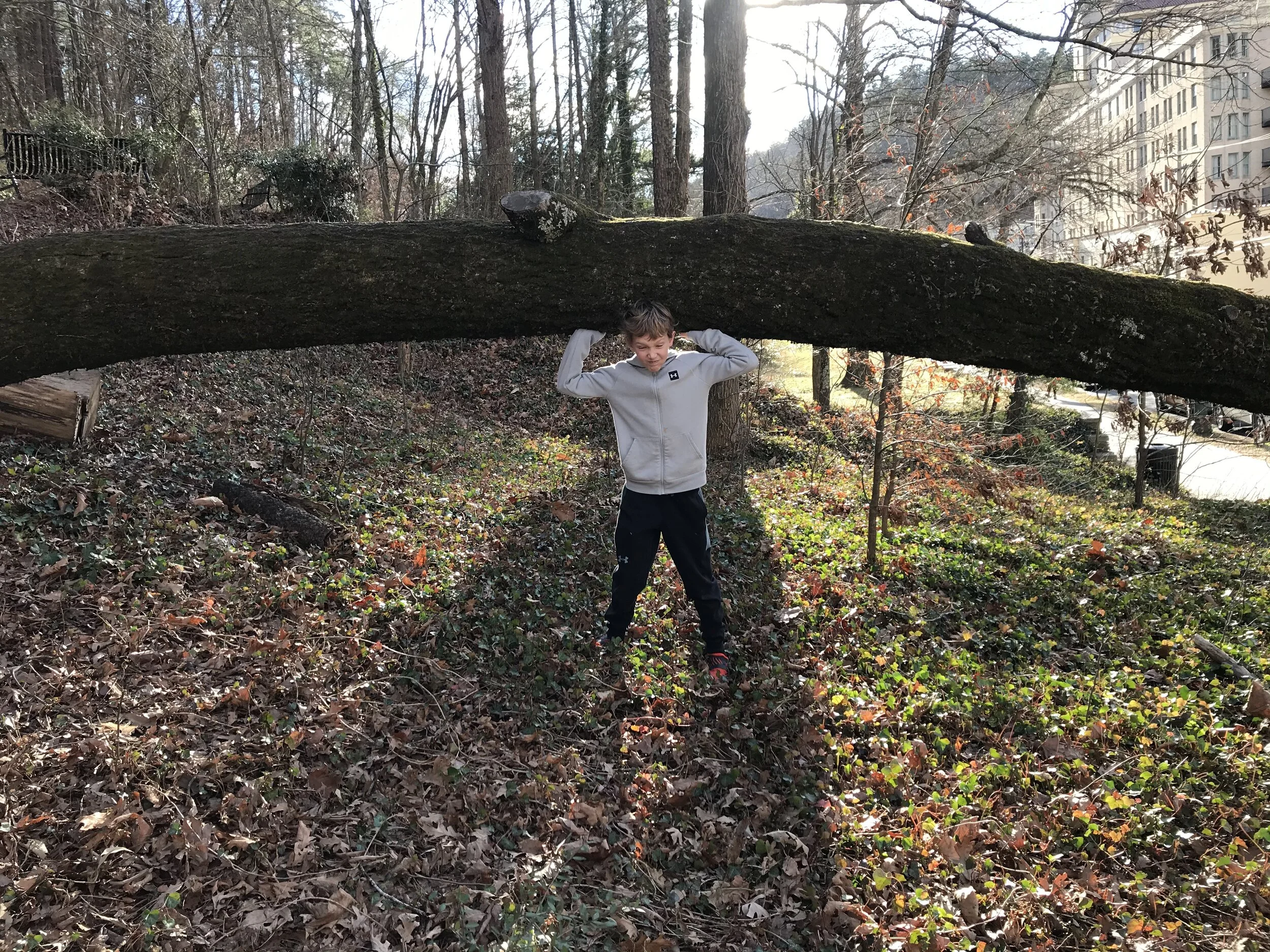 Where Does Your Strength Come From?