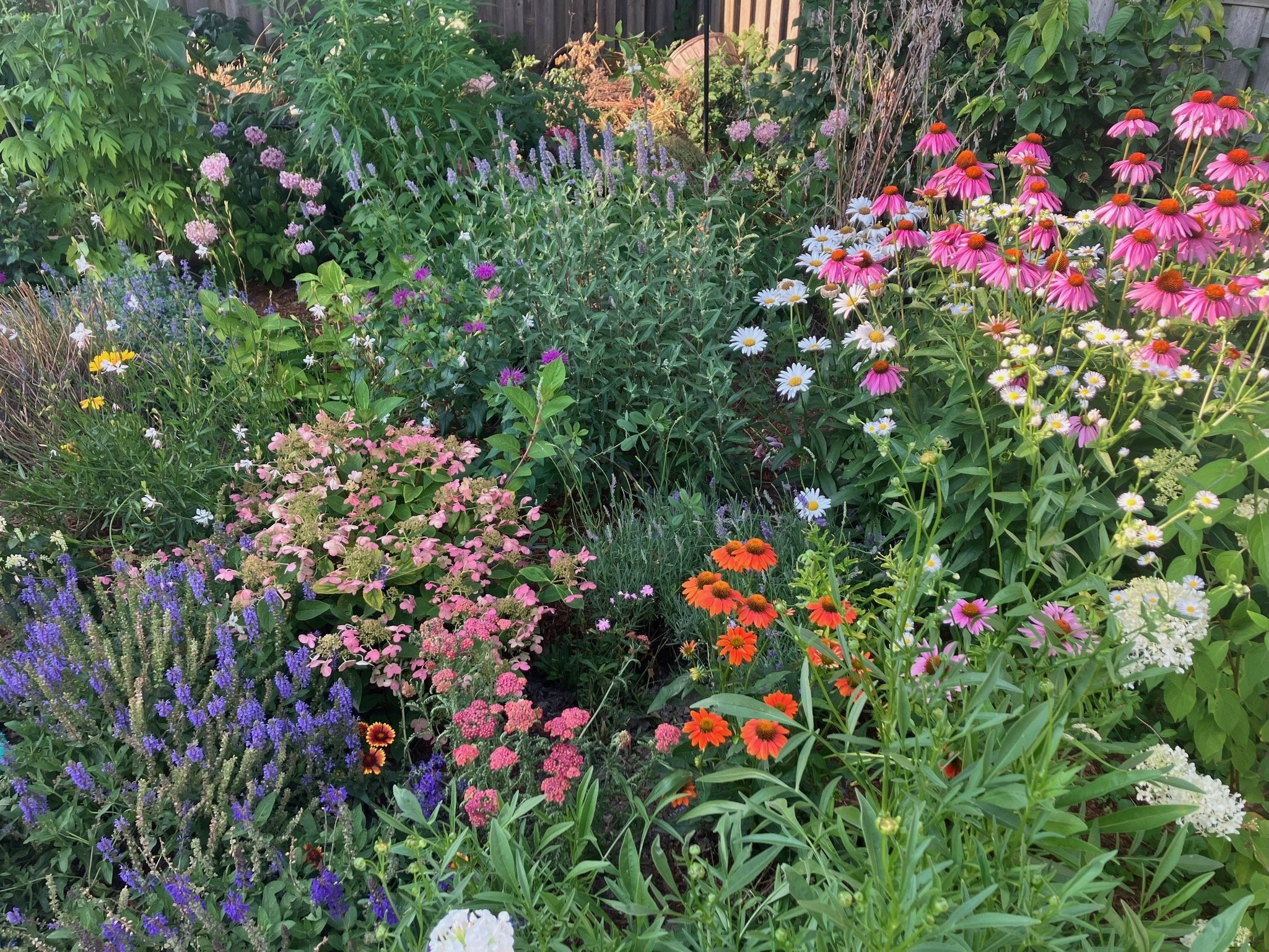 IMG_7511.jpeg
