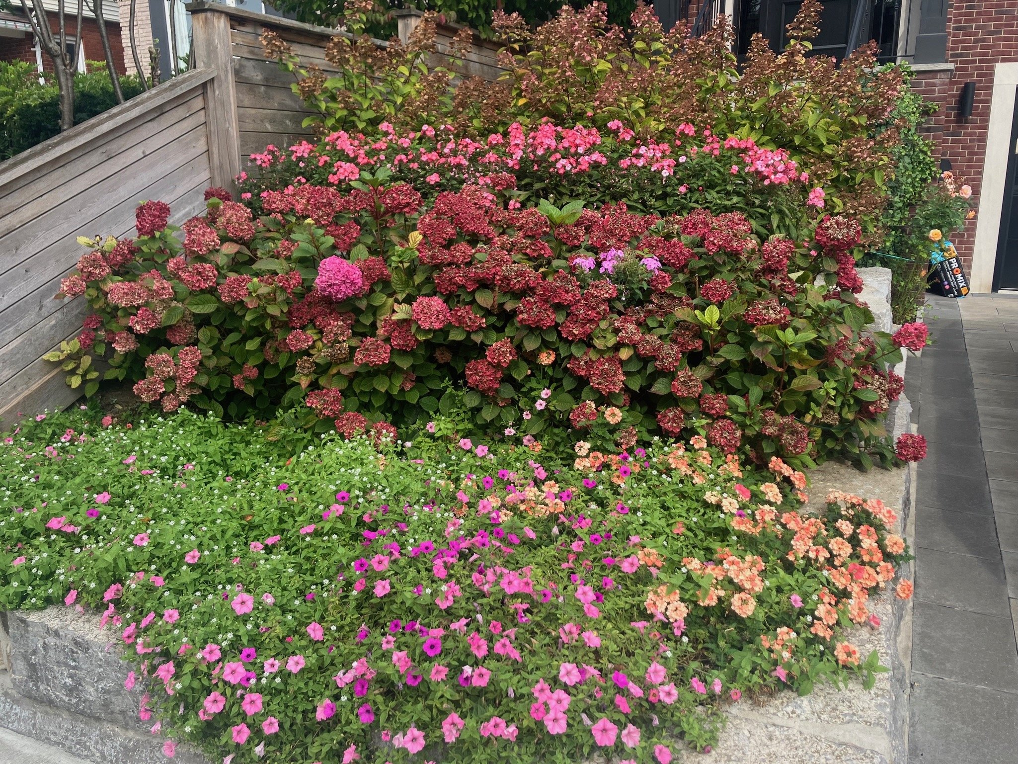 IMG_9010.jpeg