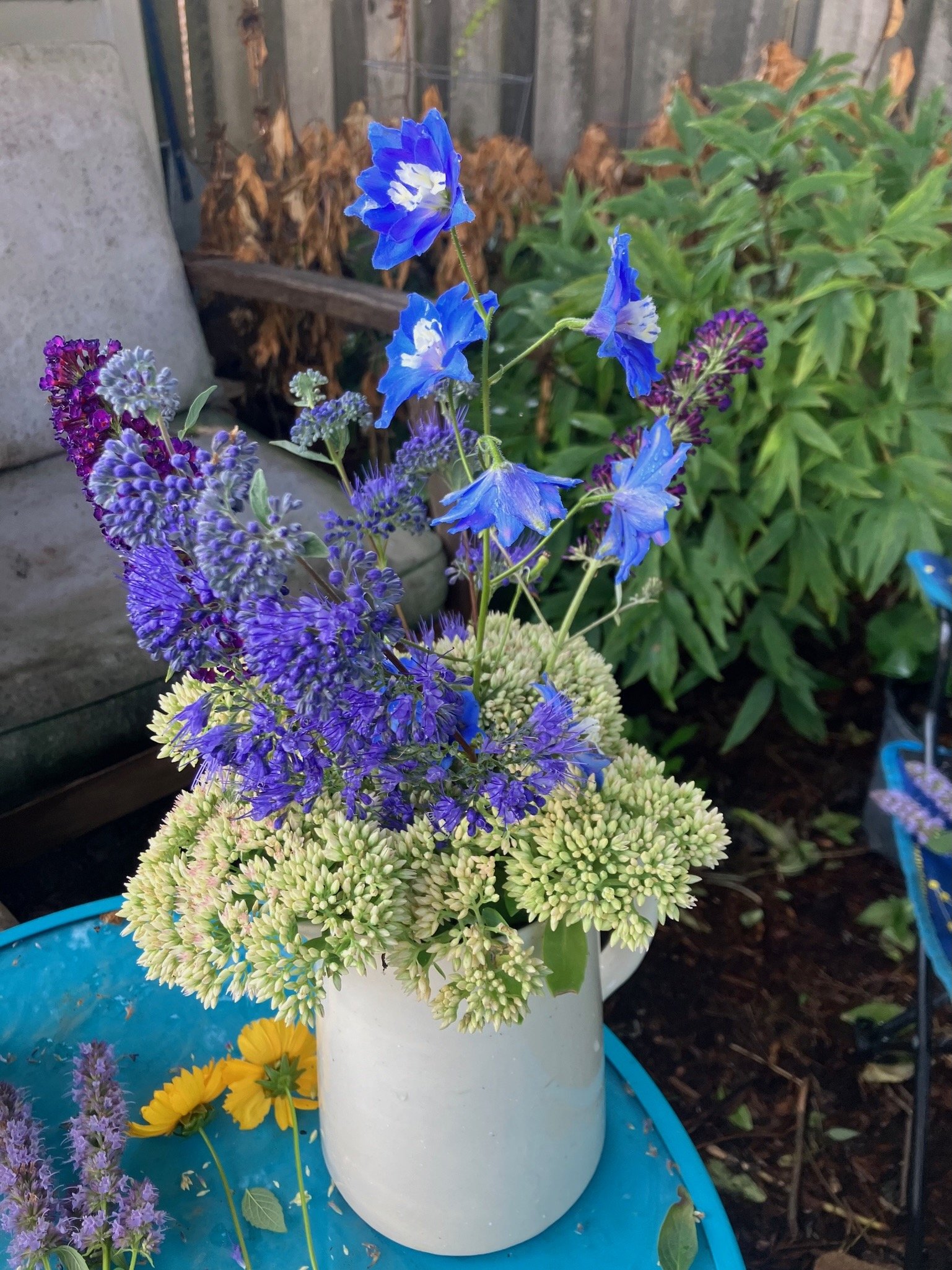 IMG_8410.jpeg