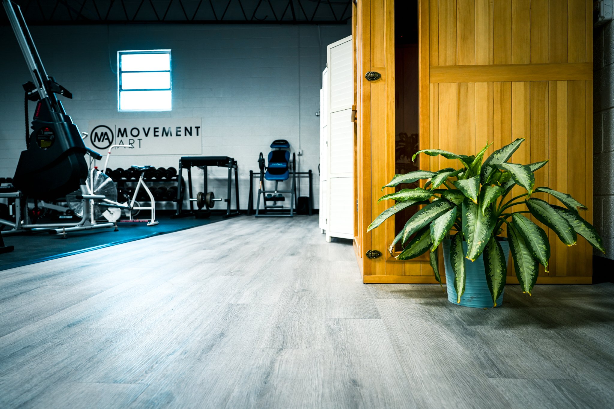 Strength and Conditioning at Movement Art Jit-Jitsu. Sauna and fitness equipment.