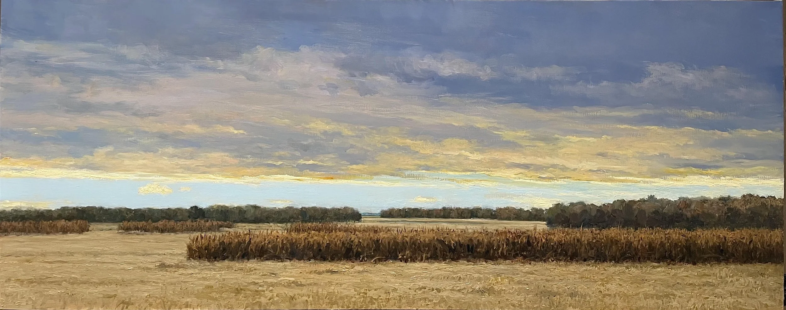 Chesapeake Fall, 16 x 40, oil on linen