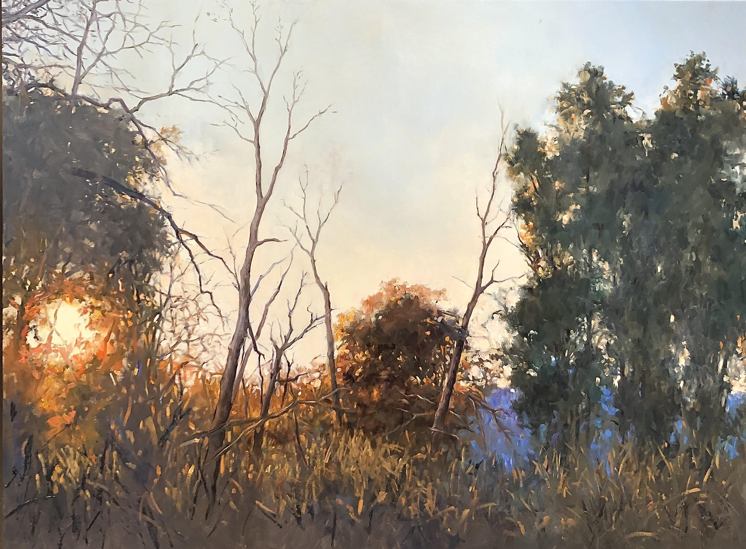 autumnlight5.jpg