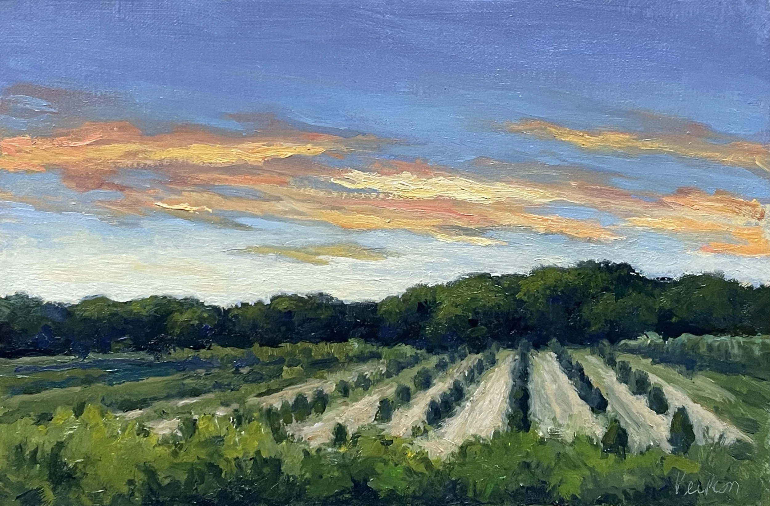 Tree Farm, Main Road, 6 x 9, oil on panel