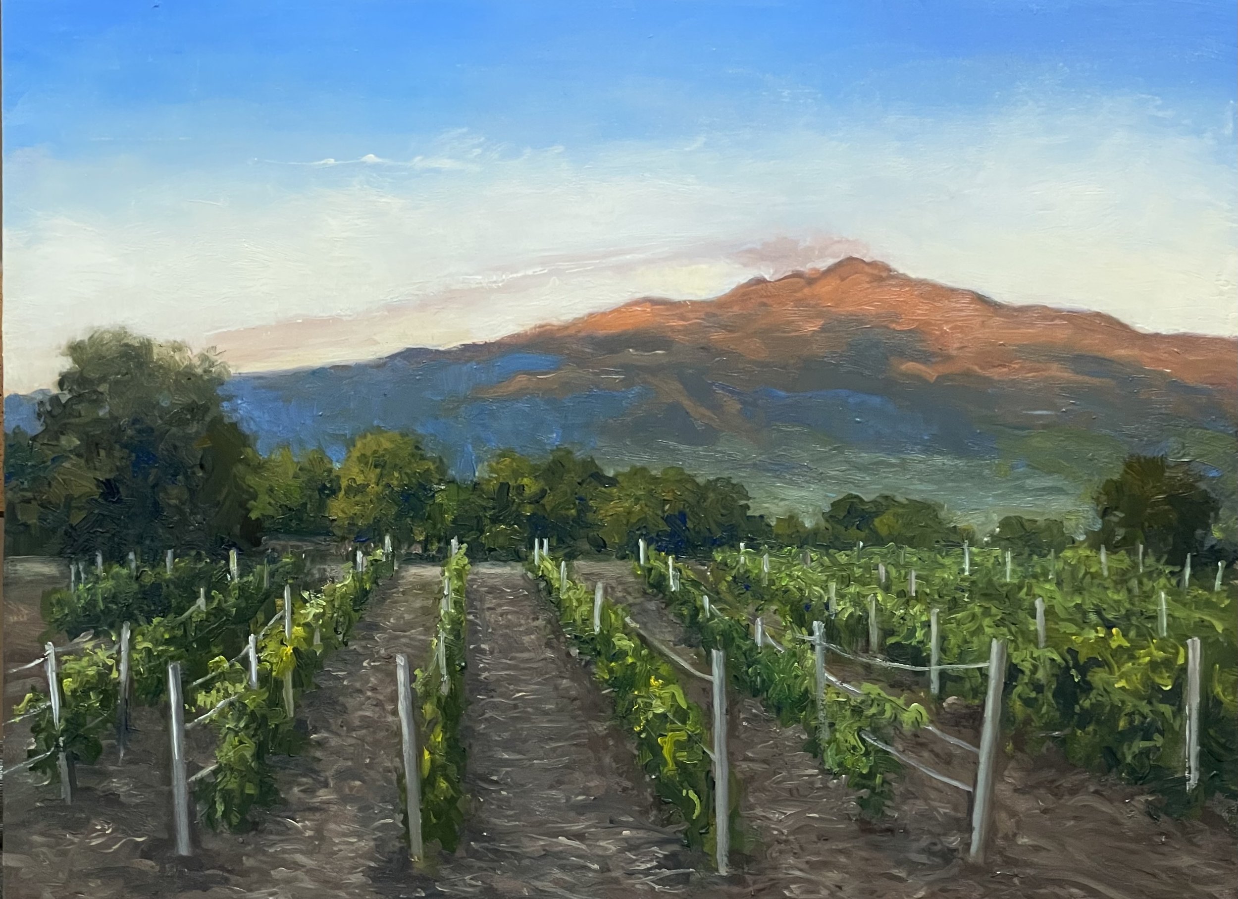 Alba Nel Vigneto, 9 x 12 oil on panel 