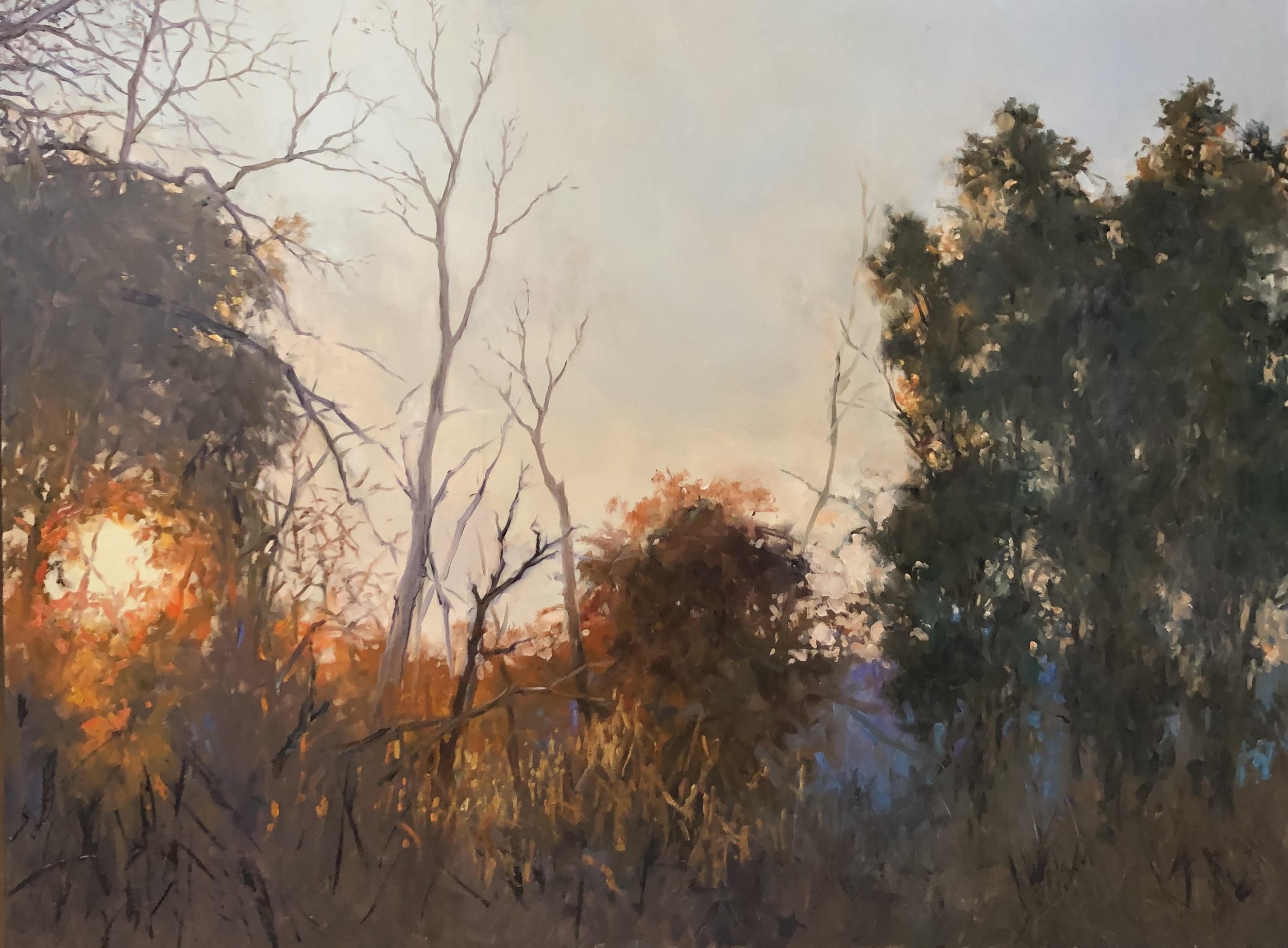 autumnlight4.jpg