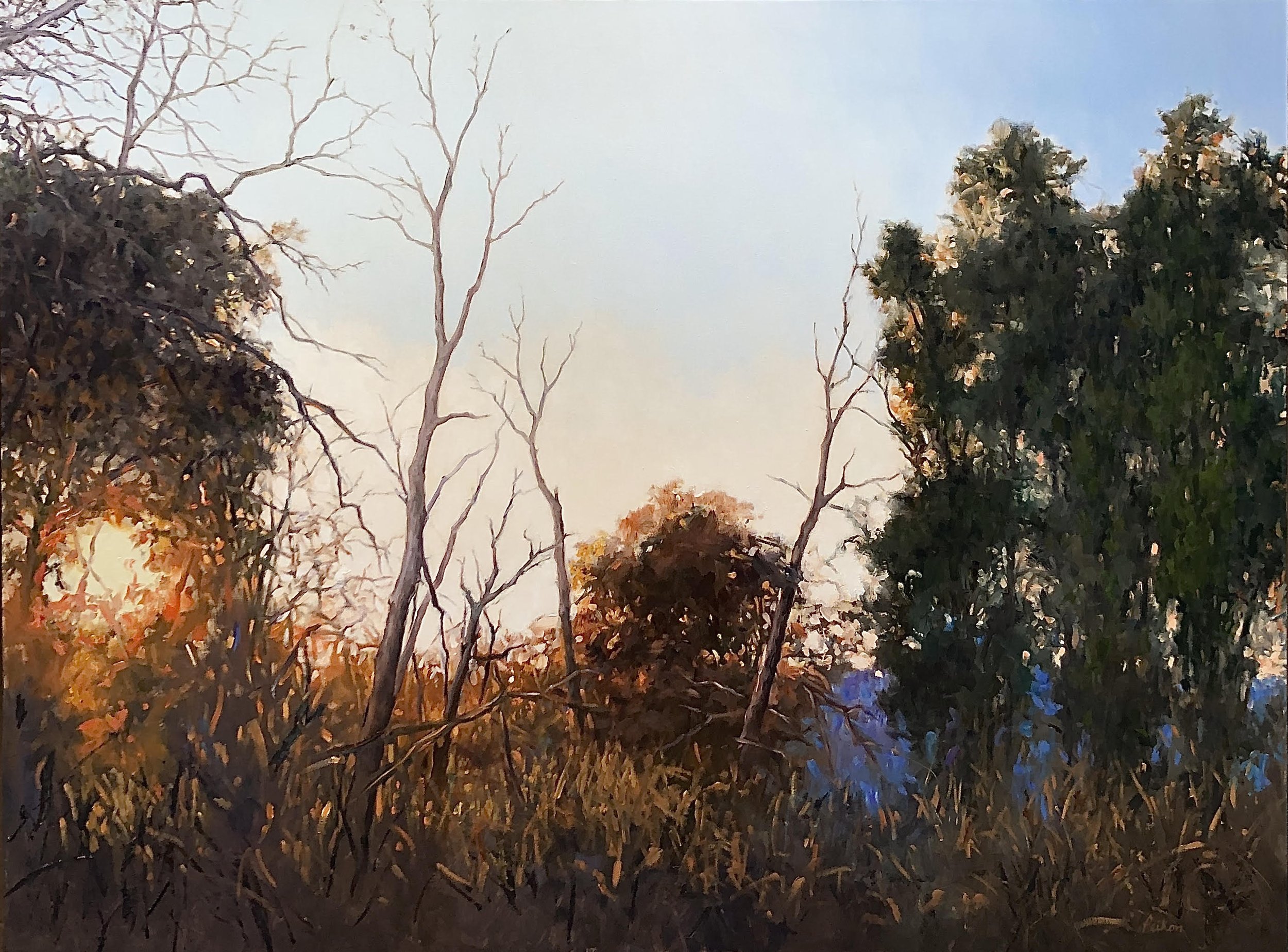 autumnlight6.jpg
