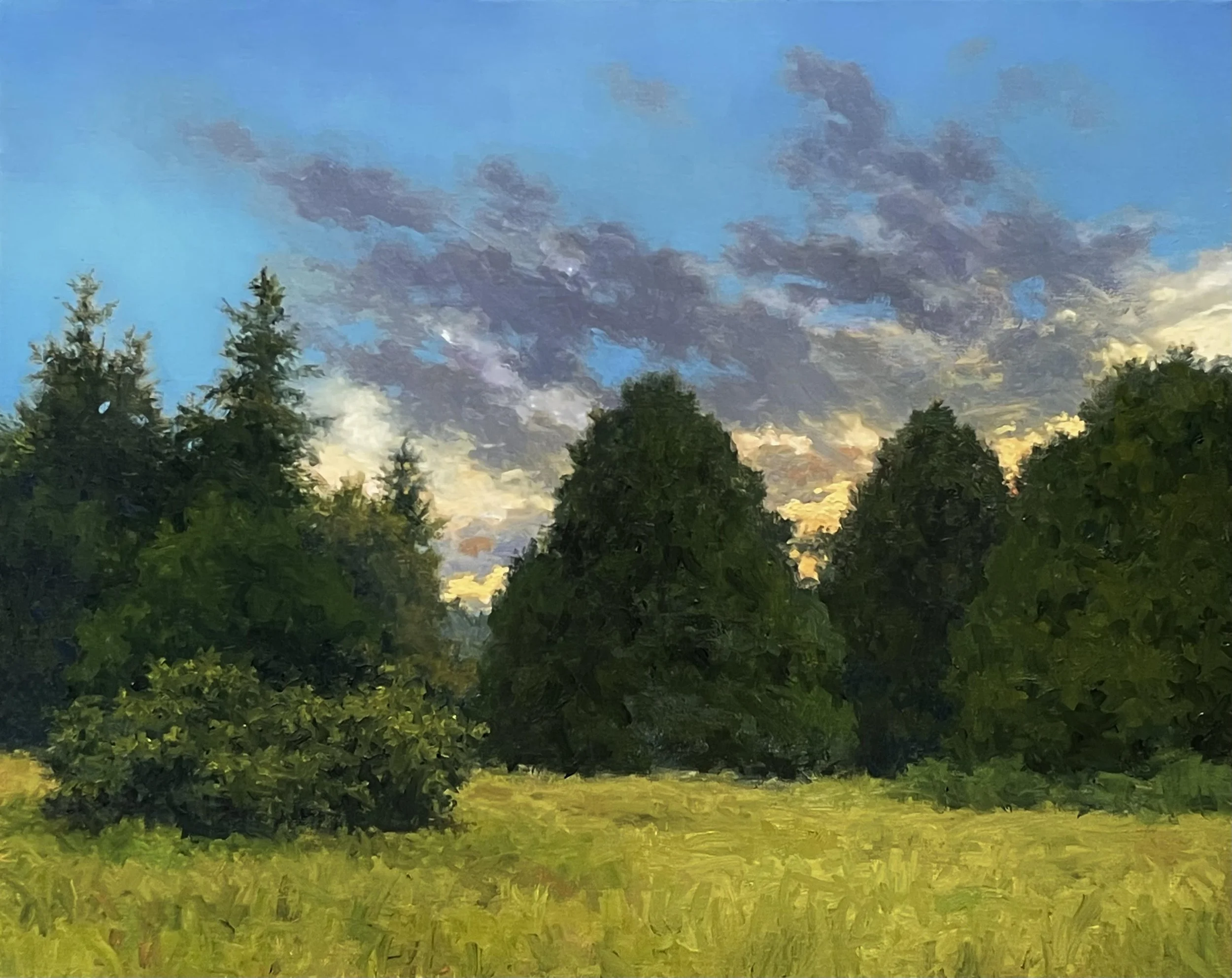 Discovery Park Sunset, 16 x 20 oil on linen (a private collection)
