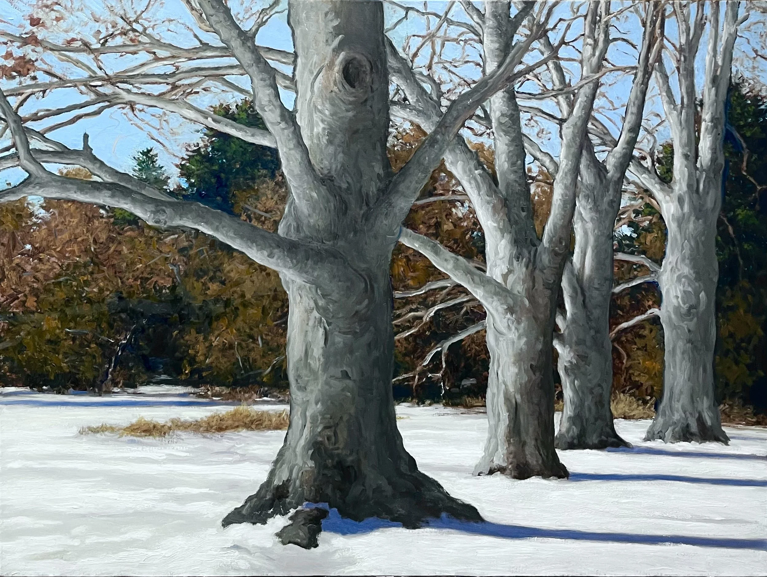 A Winter’s Day, 30 x 40, oil on linen