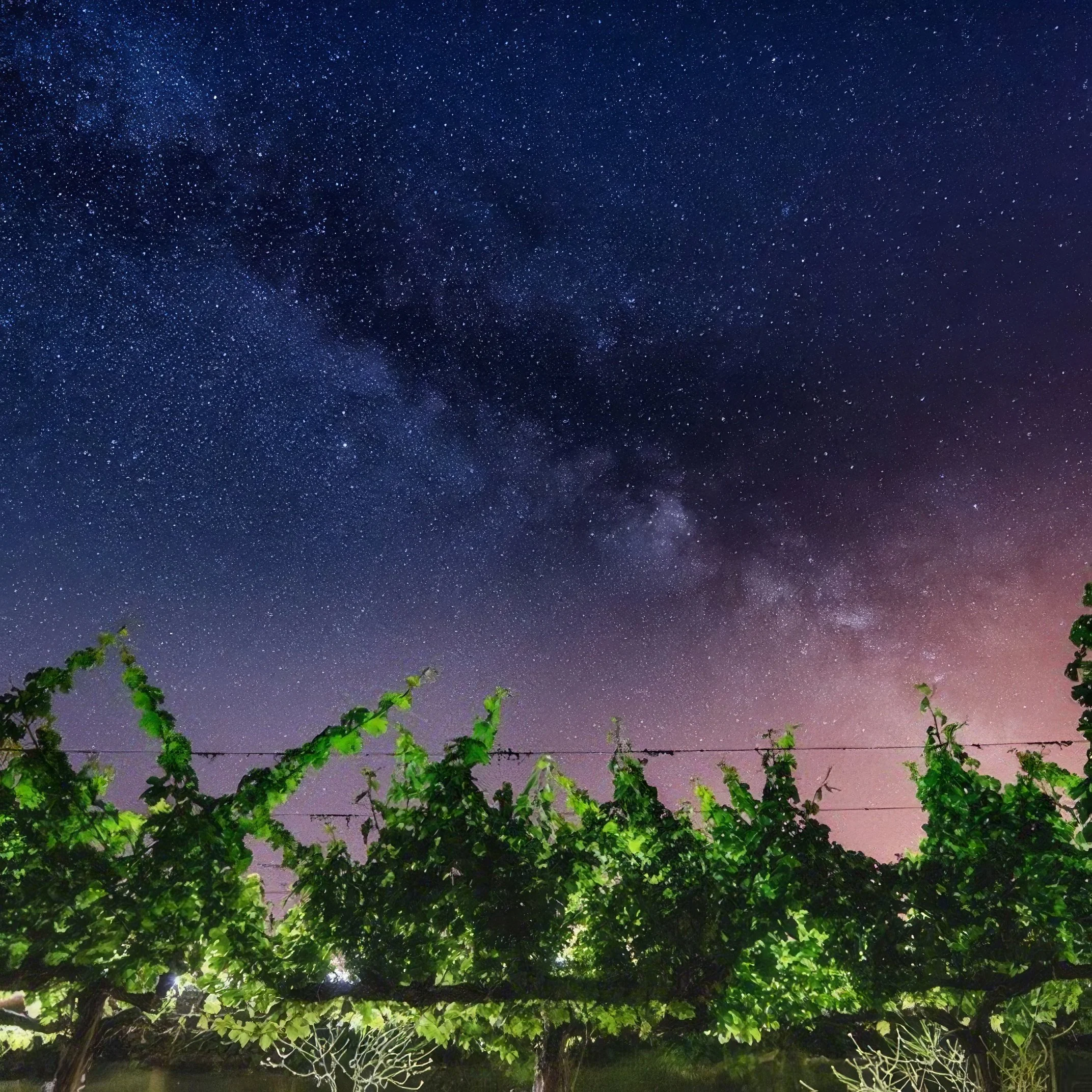 Stargazing at Corey Creek ft. East End Eats Catering
